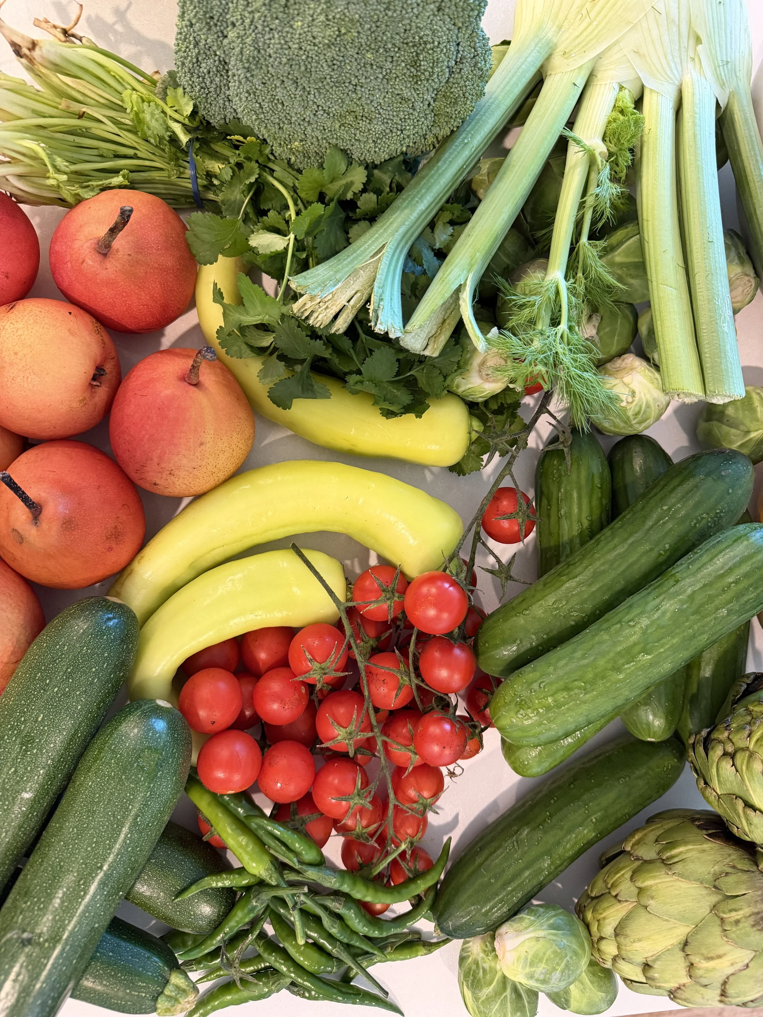 Assorted fresh vegetables including cherry tomatoes, cucumbers, zucchinis, artichoke, celery, broccoli, celery, cabbage, sweet peppers, and herbs like cilantro and dill.