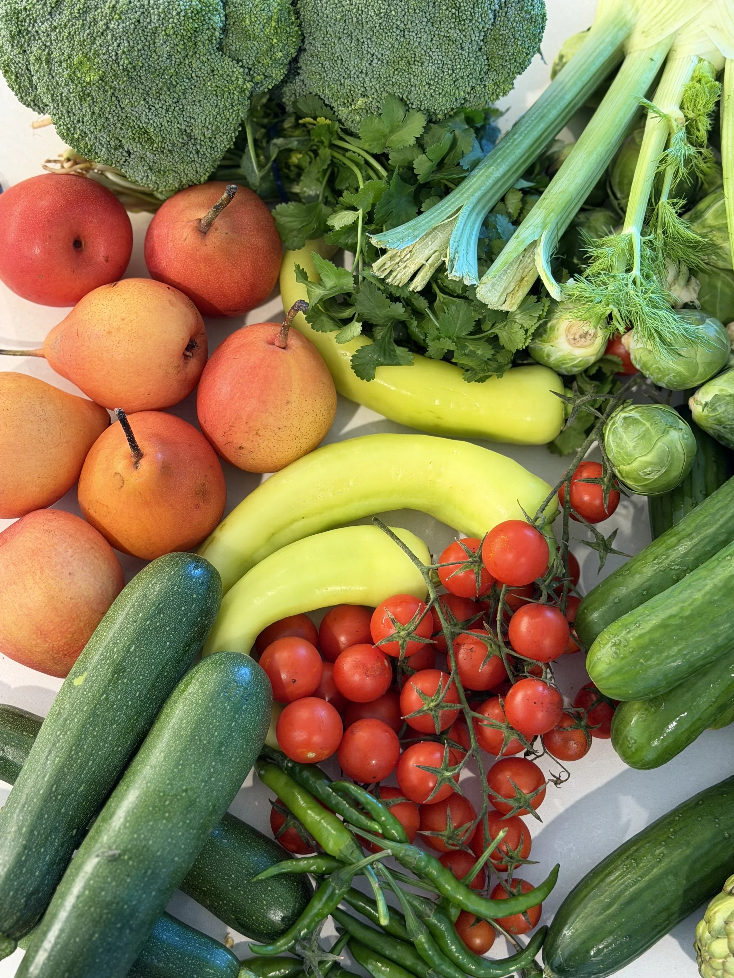 Assorted fresh vegetables including broccoli, apples, pears, zucchini, cucumbers, cherry tomatoes, Brussels sprouts, celery, and peppers.