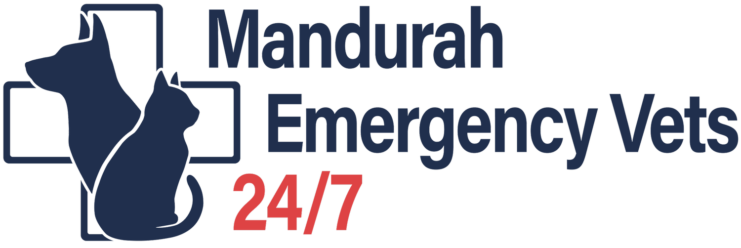 Mandurah Emergency Vets
