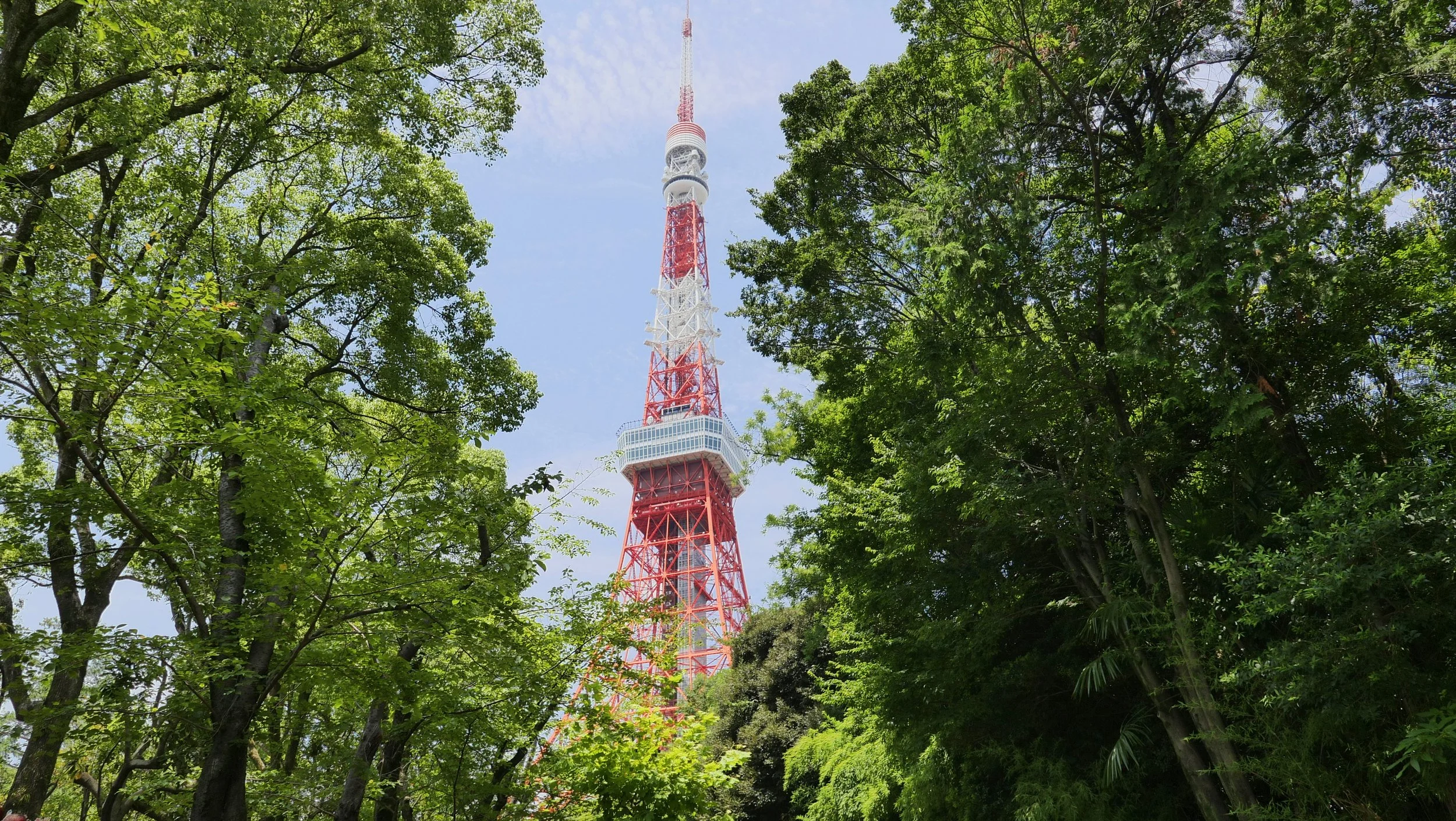 Tall red and white transmission tower seen through dense green trees on a bright, partly cloudy day.