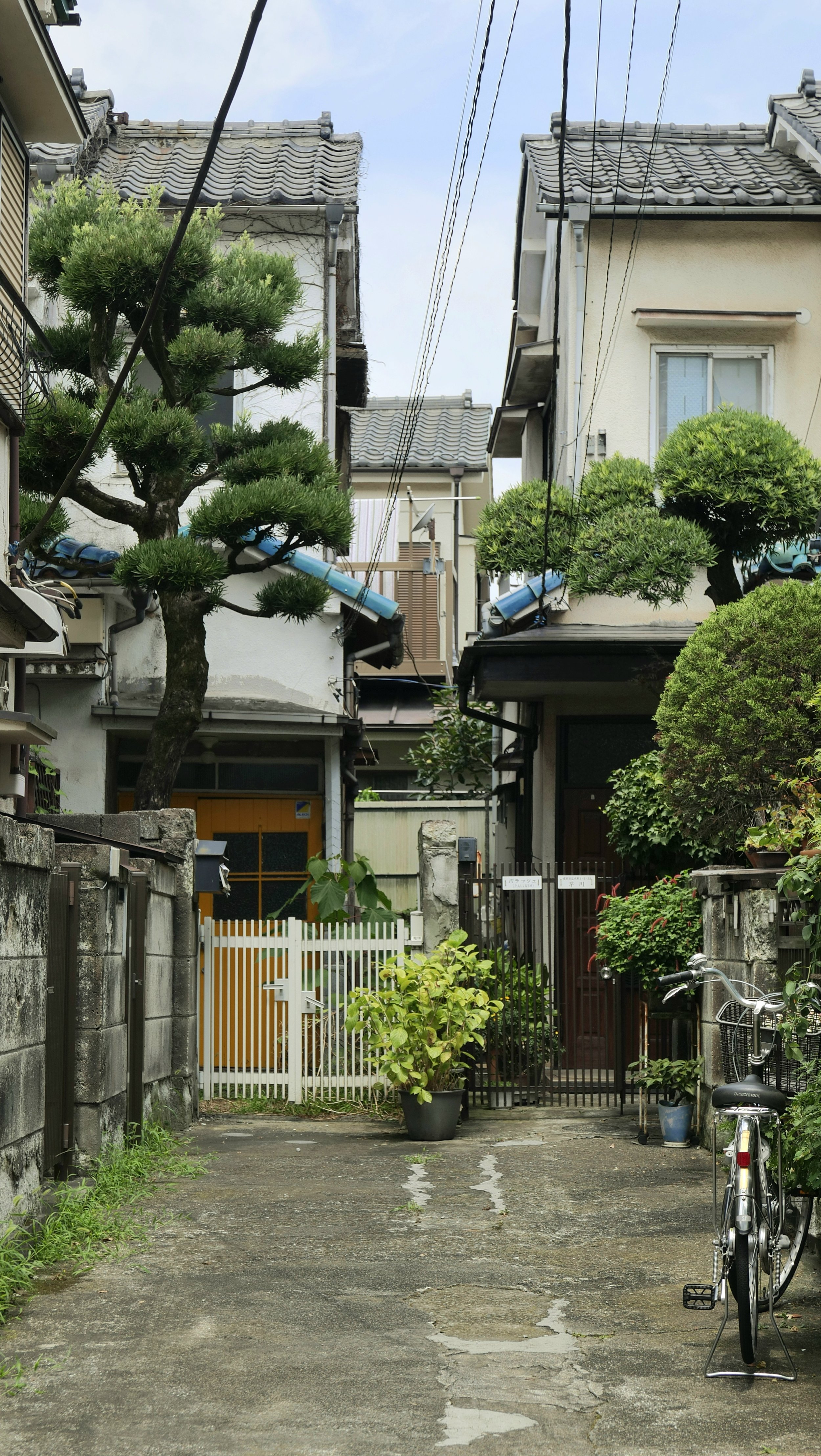 A view of a narrow concrete driveway leading to a gated entrance of a residential house, with potted plants, a bicycle, and trees on either side. The background features houses with tiled roofs and power lines overhead.