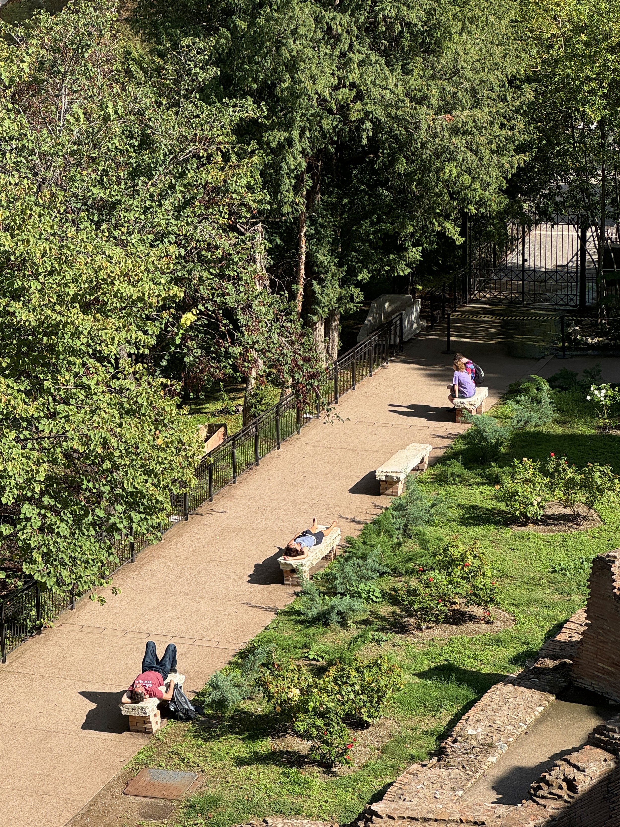 Aerial view of a park with people sitting on benches and lying on benches, surrounded by greenery and trees, with a black wrought-iron gate in the background.