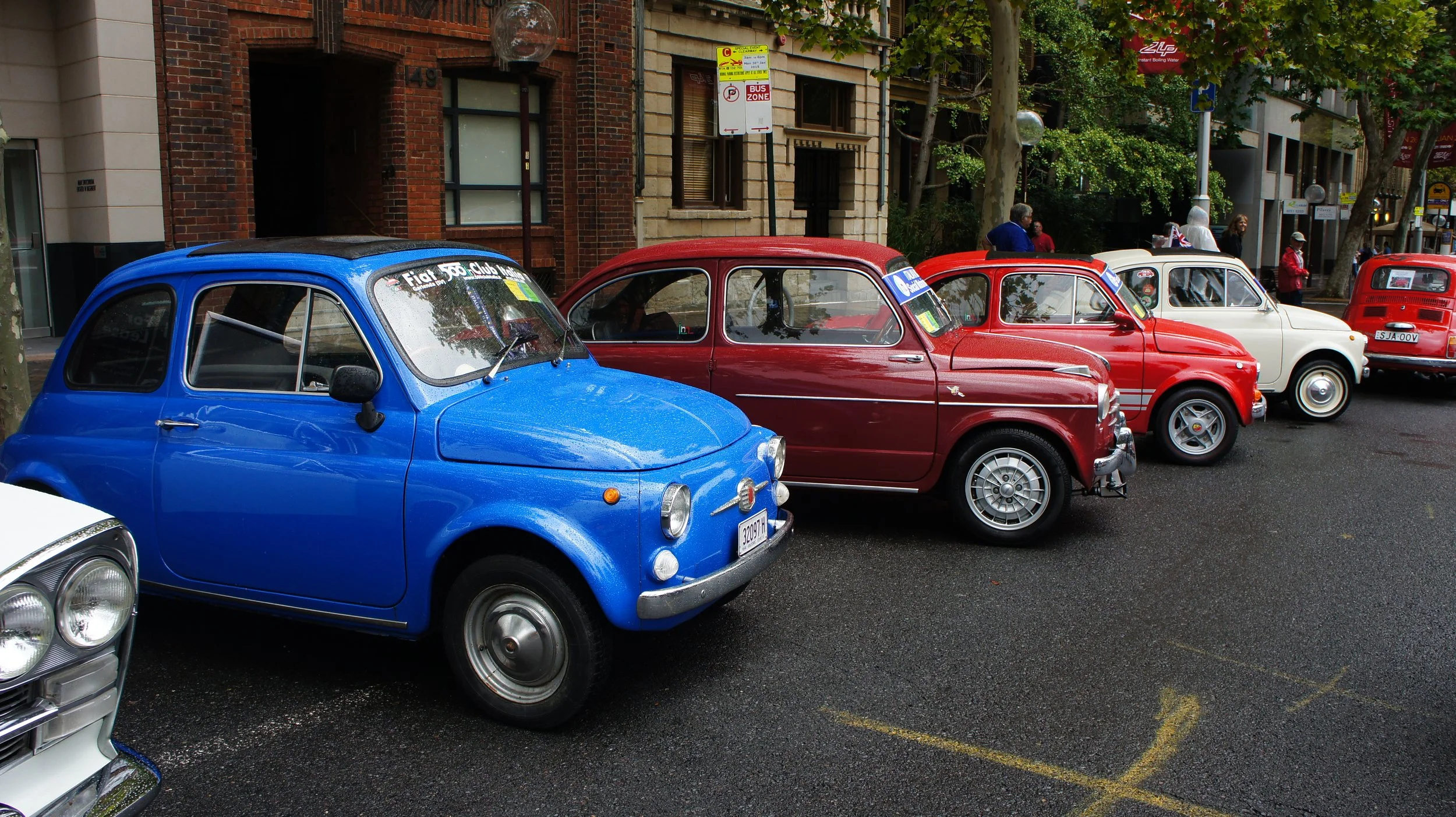 A lineup of vintage Fiat 500 cars parked on the street, with a blue, red, cream, and another red Fiat 500 visible, in a residential urban area with trees and buildings.