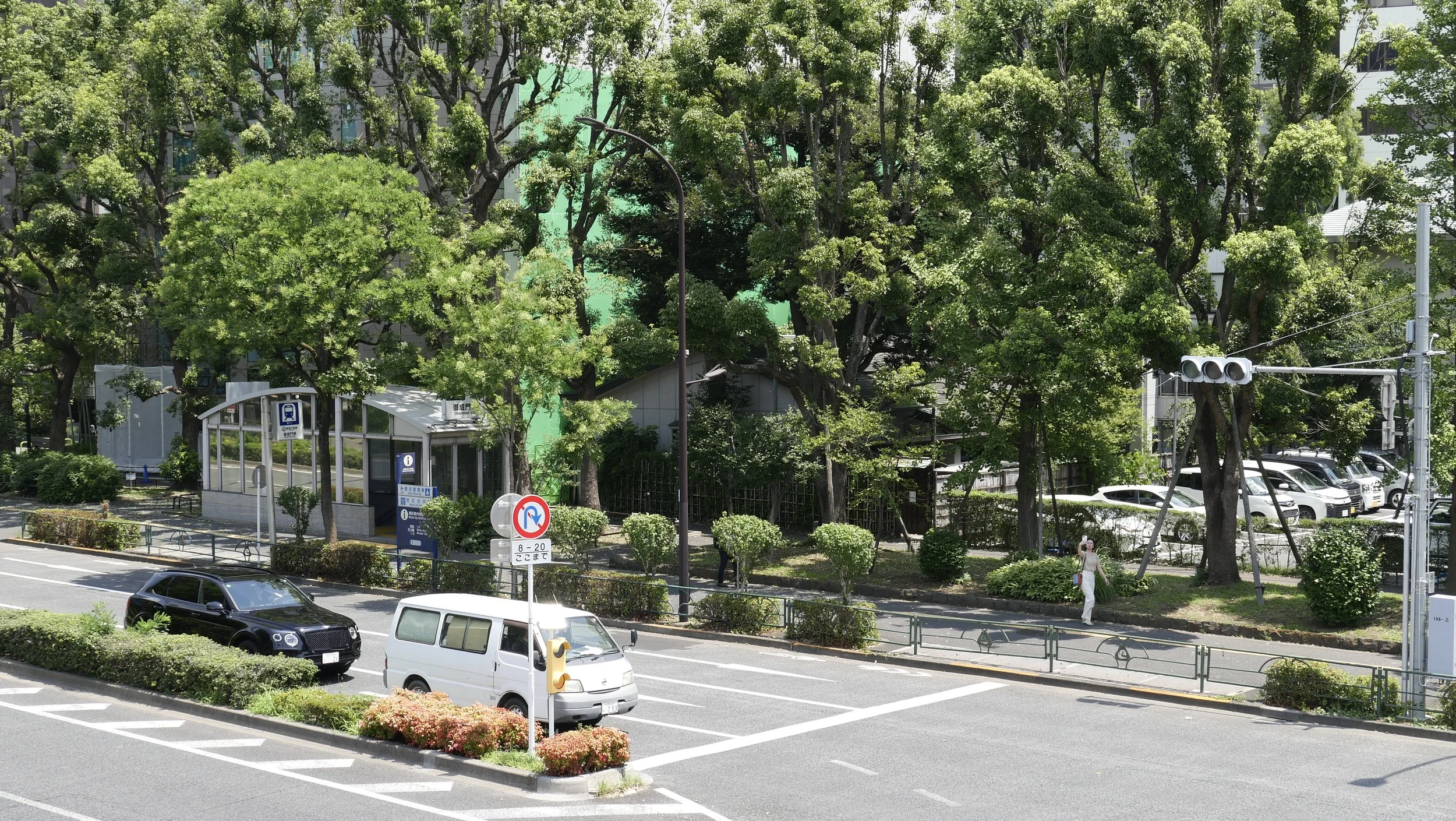 A city street scene with parked cars and a bus stop shelter surrounded by tall green trees. There is a woman walking on the sidewalk and traffic lights hanging above the street.