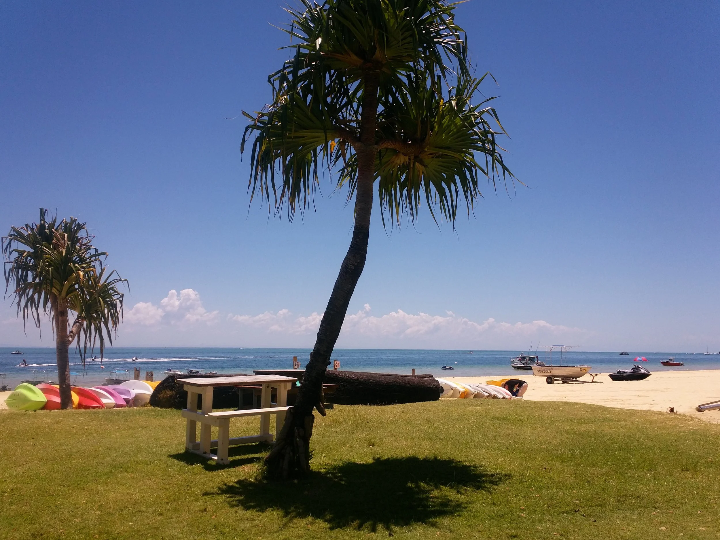 A beach scene with a palm tree in the foreground and paddle boats lined up on the sand. The ocean is visible in the background with boats on the water and a blue sky overhead.
