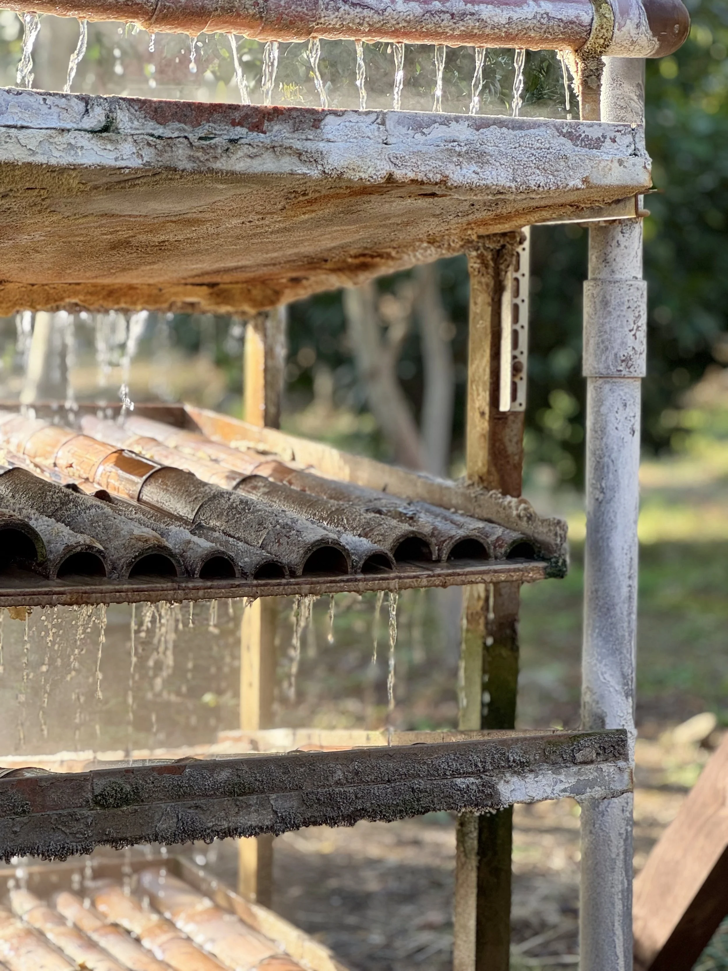 A rusty metal structure with shelves, water dripping from a pipe on the top shelf, and moss growing on it, outdoors with trees and sunlight in the background.