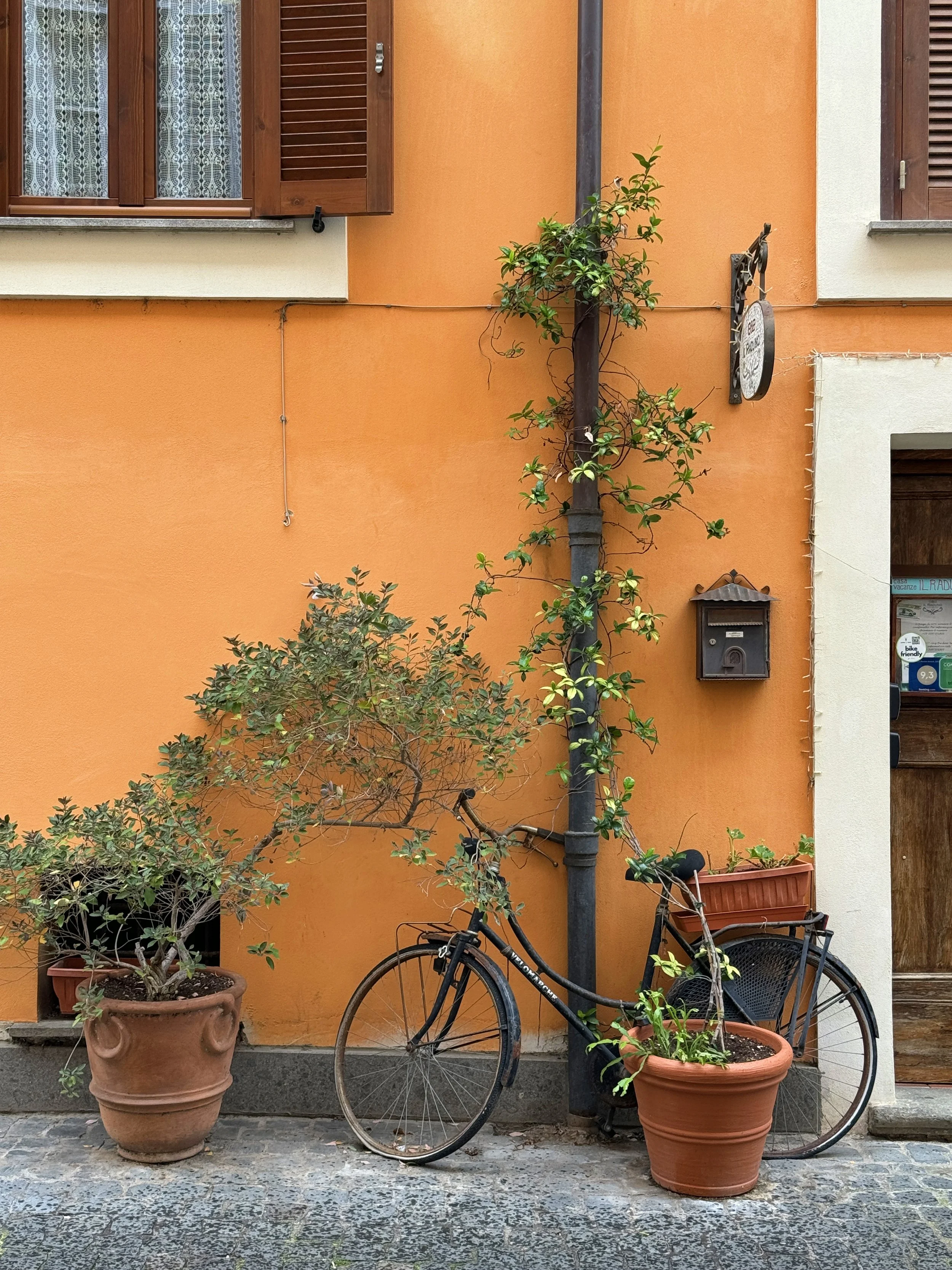 A black bicycle parked against a piping on an orange wall with two potted plants nearby, one on the left and one on the right.