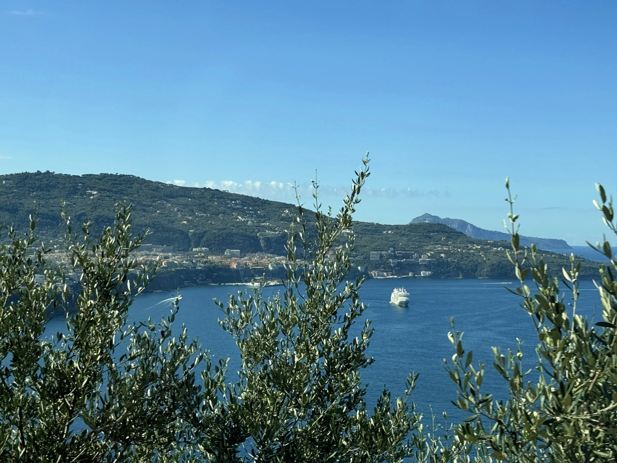 A scenic view of a large body of water with a cruise ship sailing near the horizon. In the background, there is a hillside with greenery and houses, and a mountain range further back under a clear blue sky. In the foreground, there are leafy branches