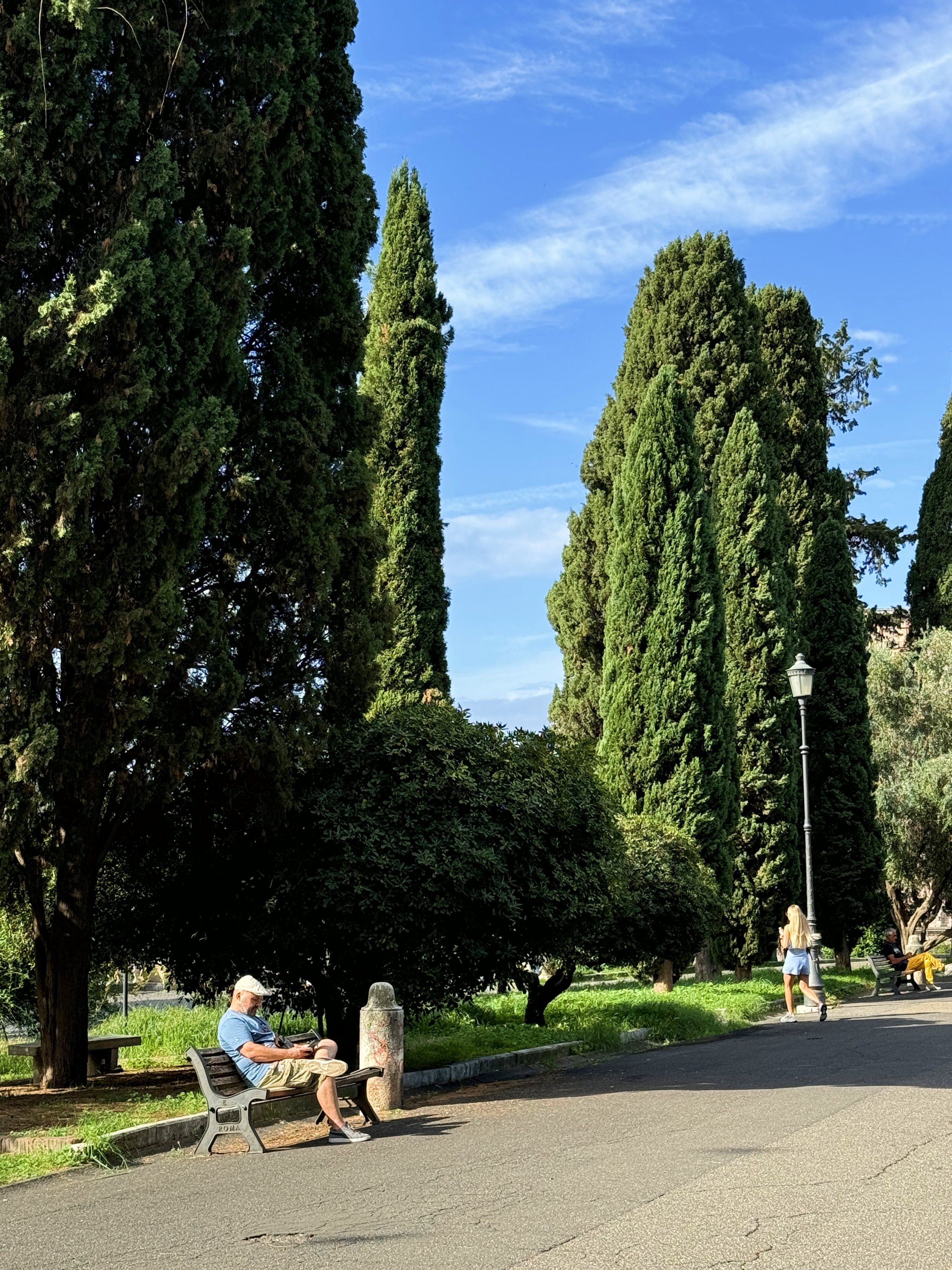 People relaxing in a park with large green trees, benches, and a streetlamp under a blue sky.