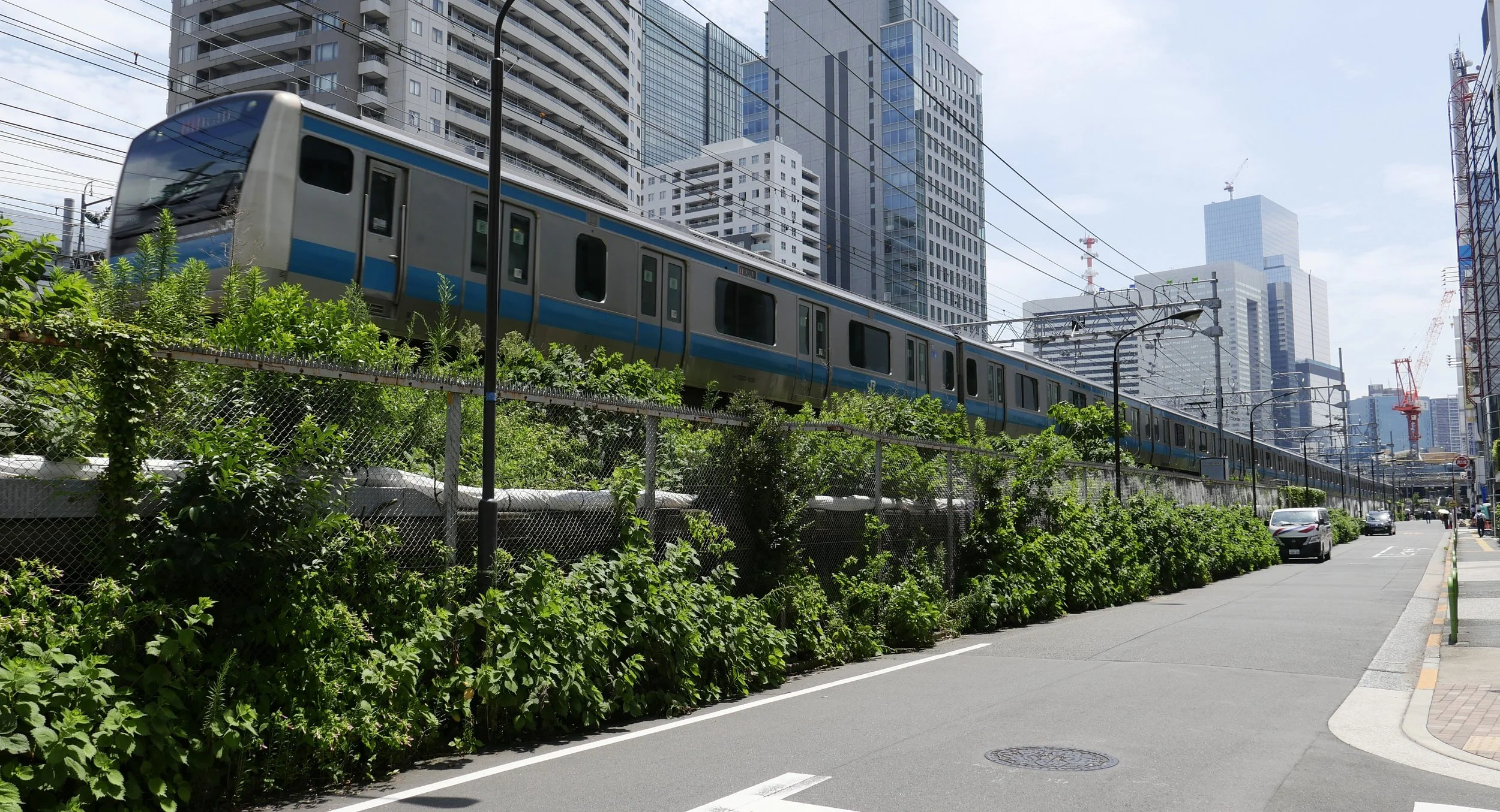 A city scene with a train moving along elevated tracks, tall modern buildings in the background, a sidewalk with parked cars, and lush green bushes along the fence.