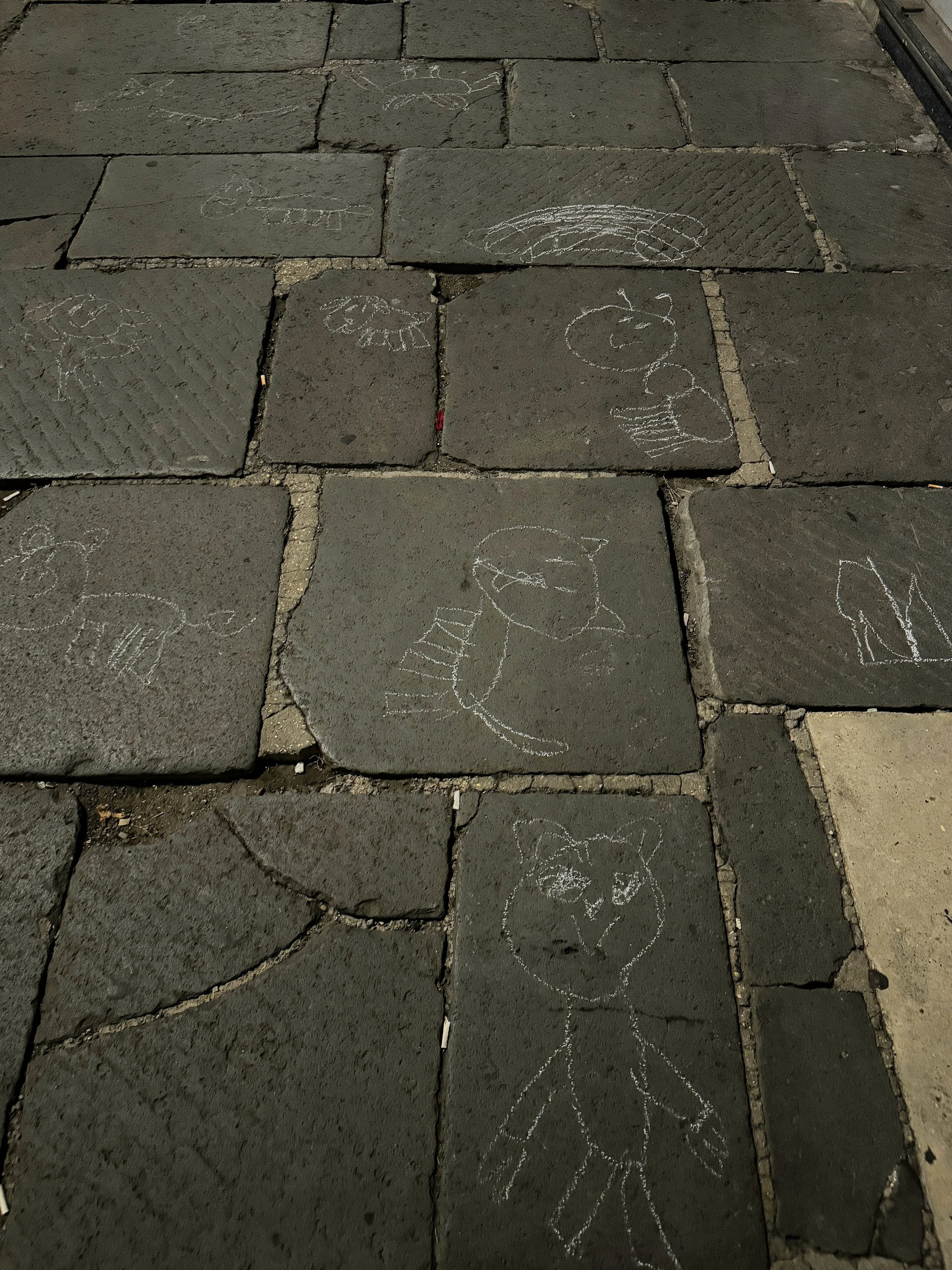 Sidewalk with chalk drawings of several animals including a bird, a rabbit, a fish, and a dog.