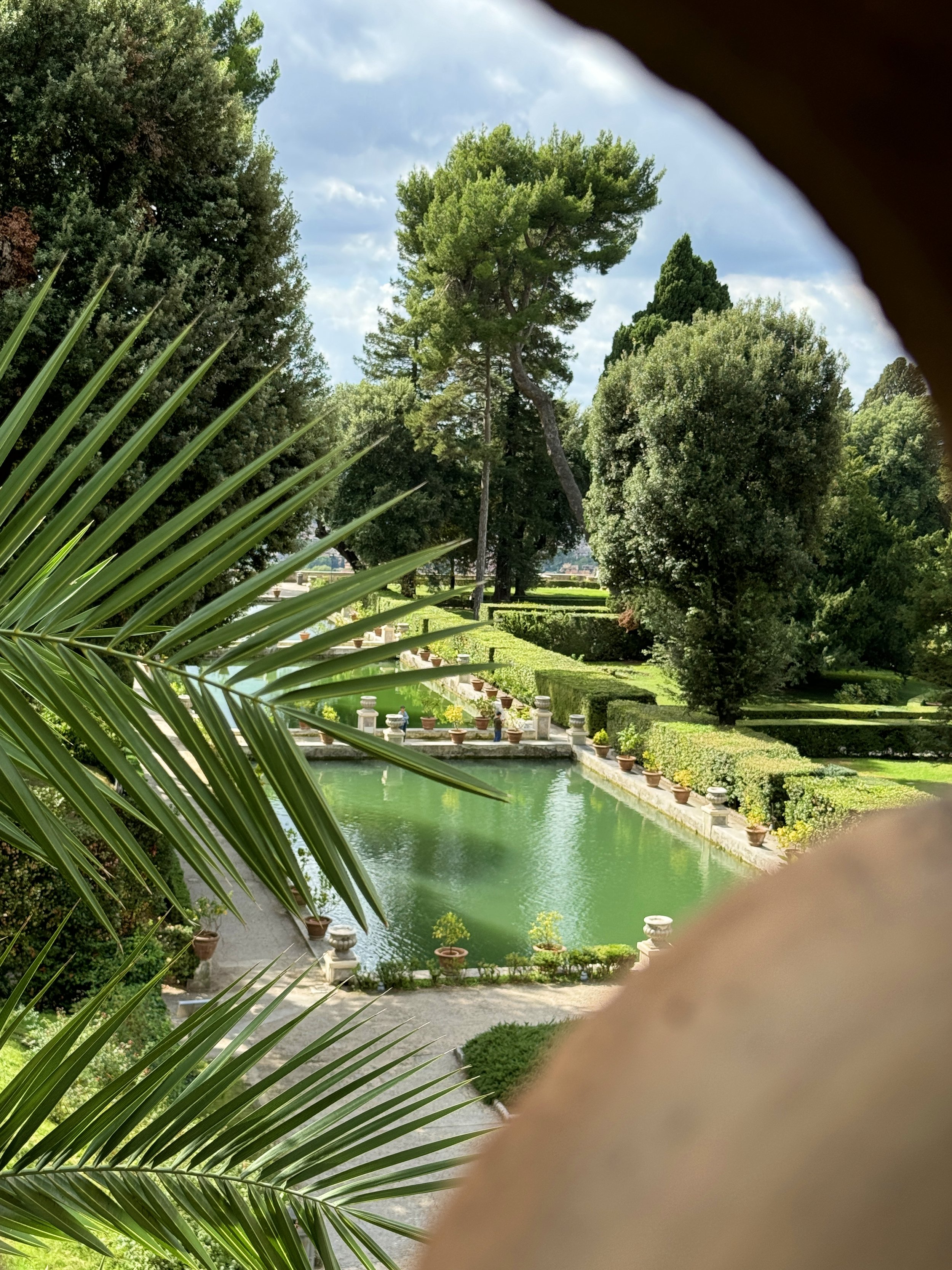 View of a lush garden with tall trees, a rectangular pond, and potted plants along the edges, viewed from behind some palm leaves and a blurred corner.