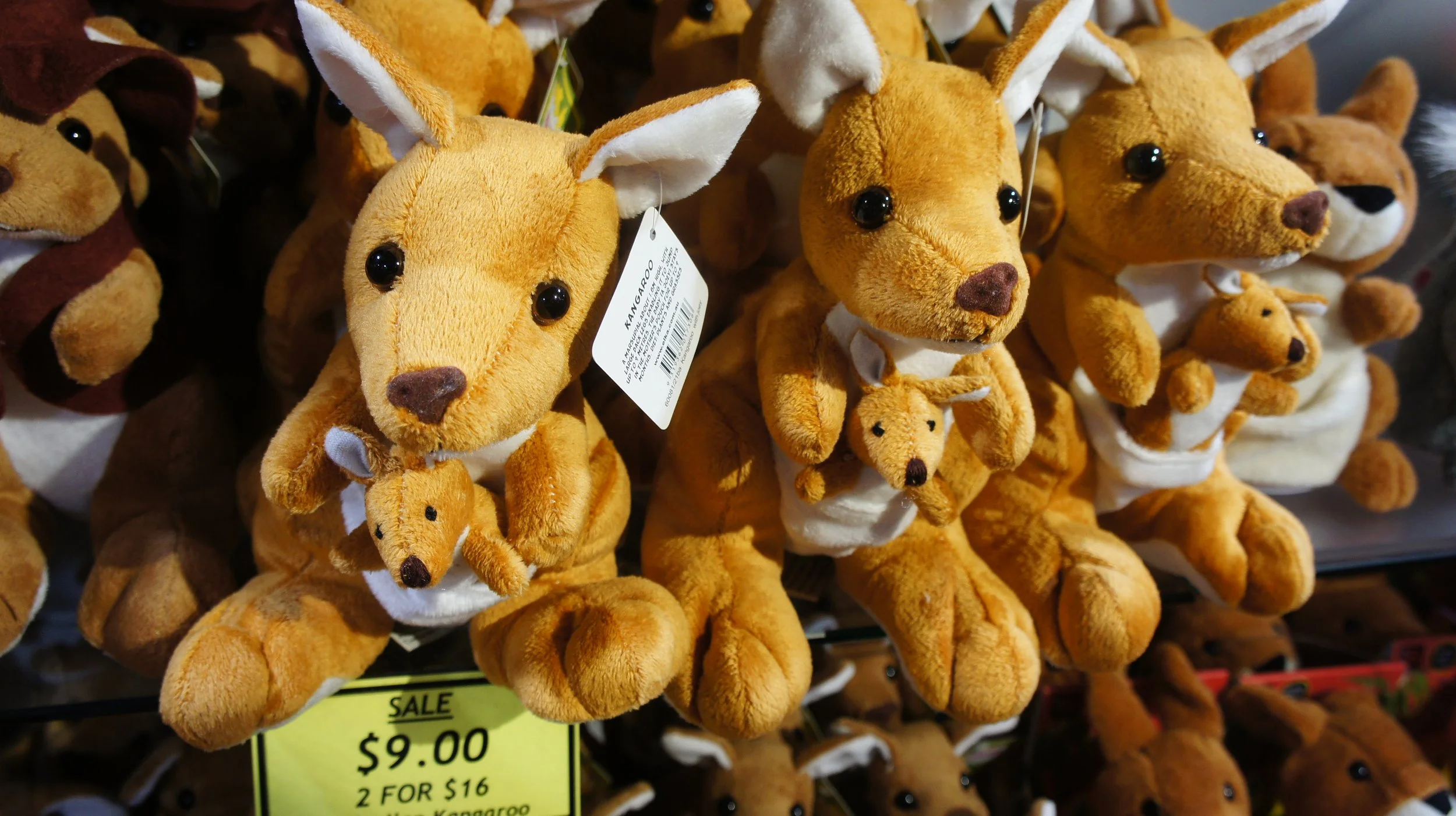 A display of plush kangaroo stuffed animals with tags attached, arranged in a retail store. Sale sign shows $9.00 each or 2 for $16.