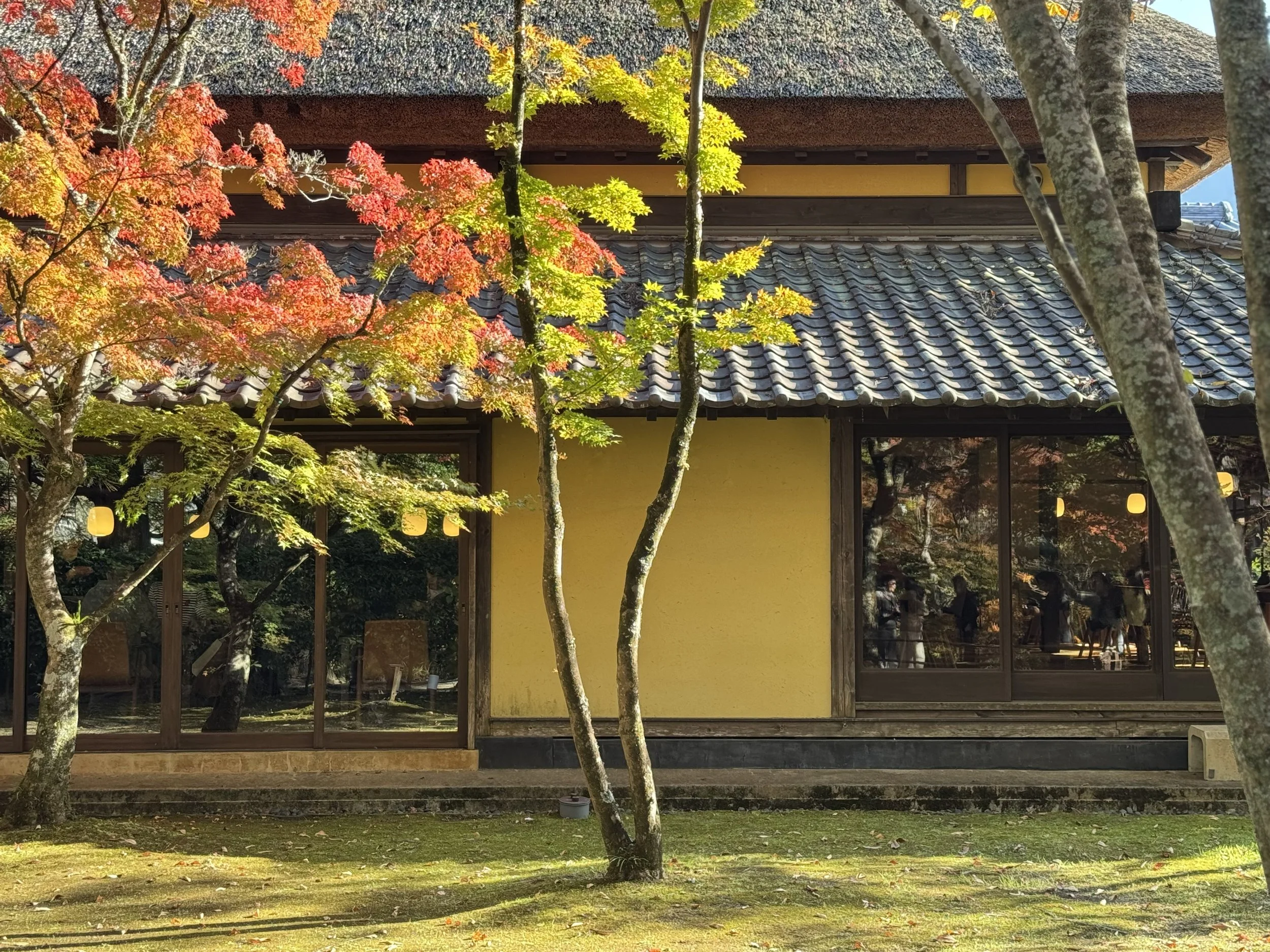 A yellow building with a tiled roof, partially obscured by trees with red and green leaves, in an outdoor setting during autumn.