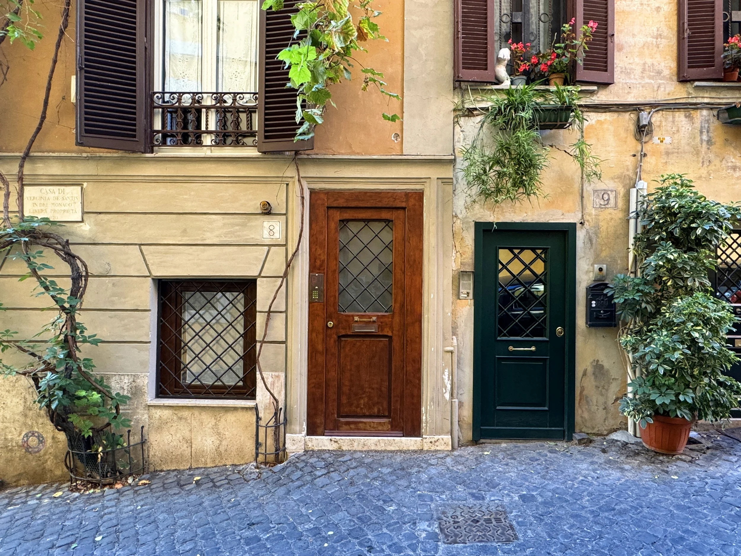 A narrow cobblestone street with two adjacent old buildings with wooden shutters and potted plants, including flowering plants and leafy green plants, outside the doors and windows.