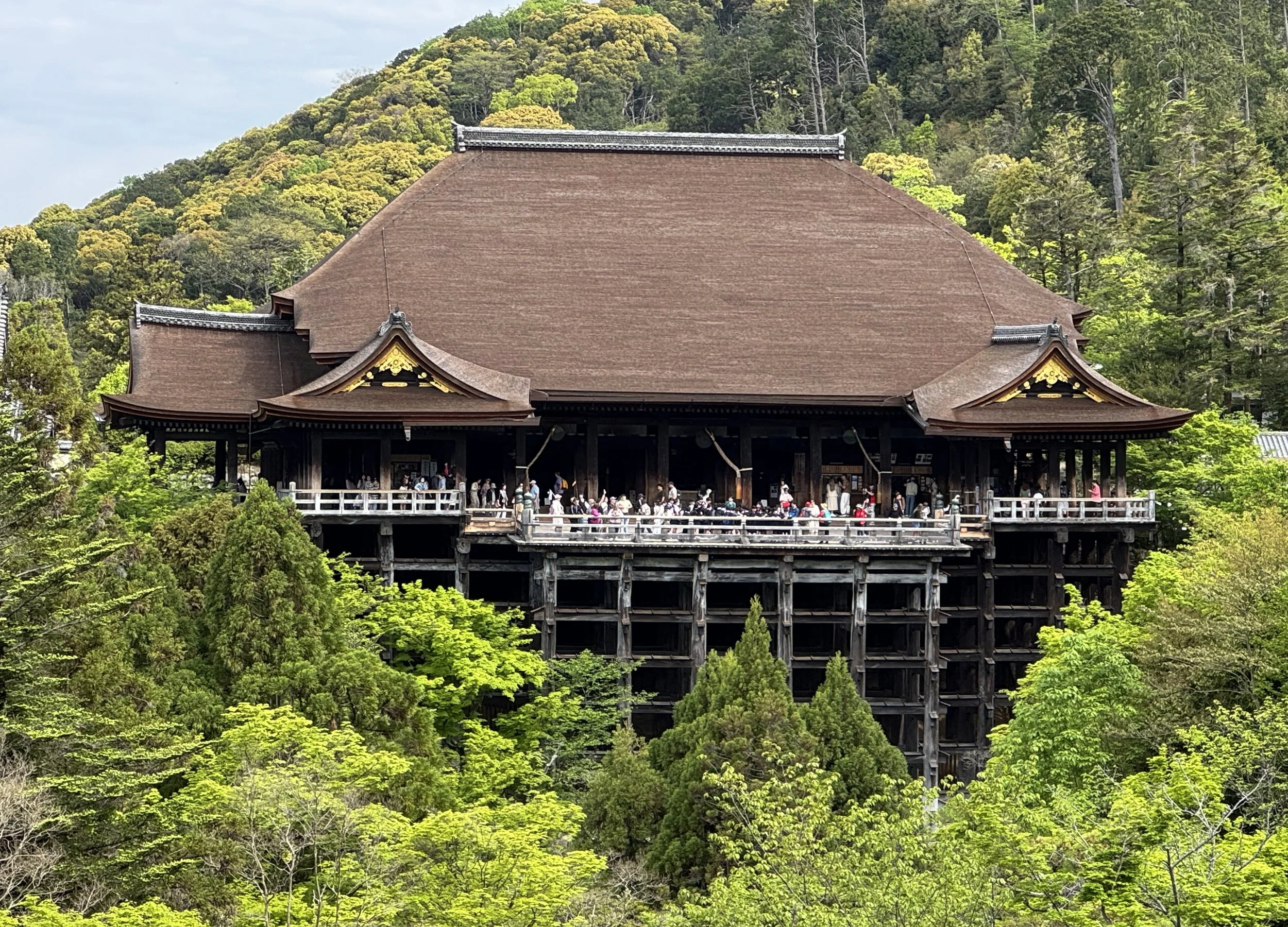 A traditional Japanese temple building with a large sloped roof surrounded by lush green trees and forested hills.