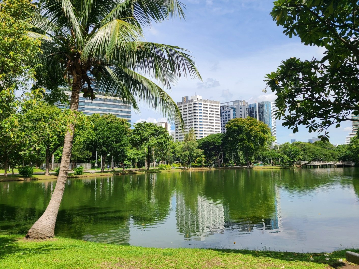 A park with a pond, lush green trees, and a tall leaning palm tree in the foreground. Modern high-rise buildings are visible in the background under a partly cloudy sky.