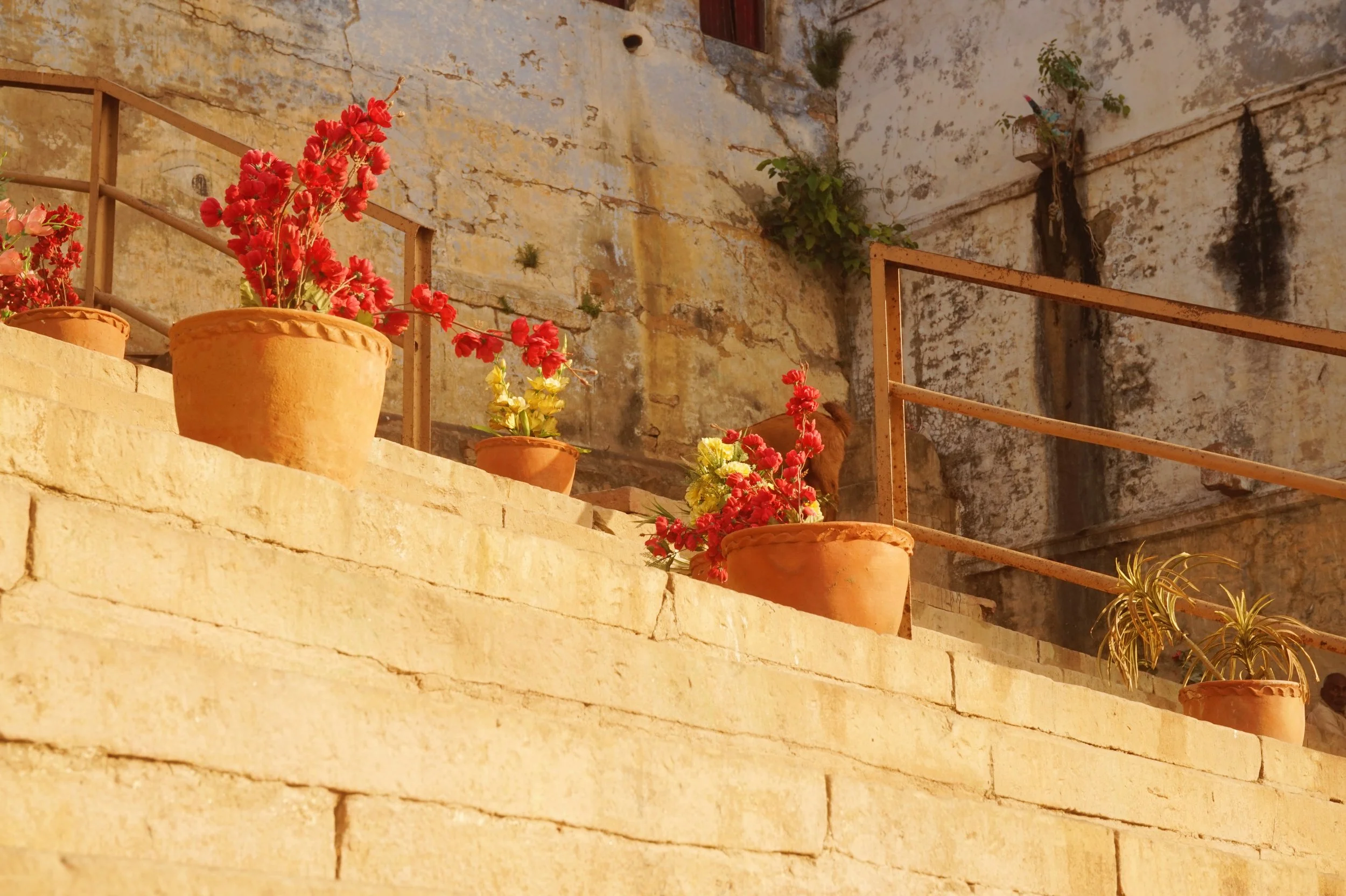 Terracotta pots with red and yellow flowers on a stone ledge, against a weathered, cream-colored wall with some dark patches and a small window.