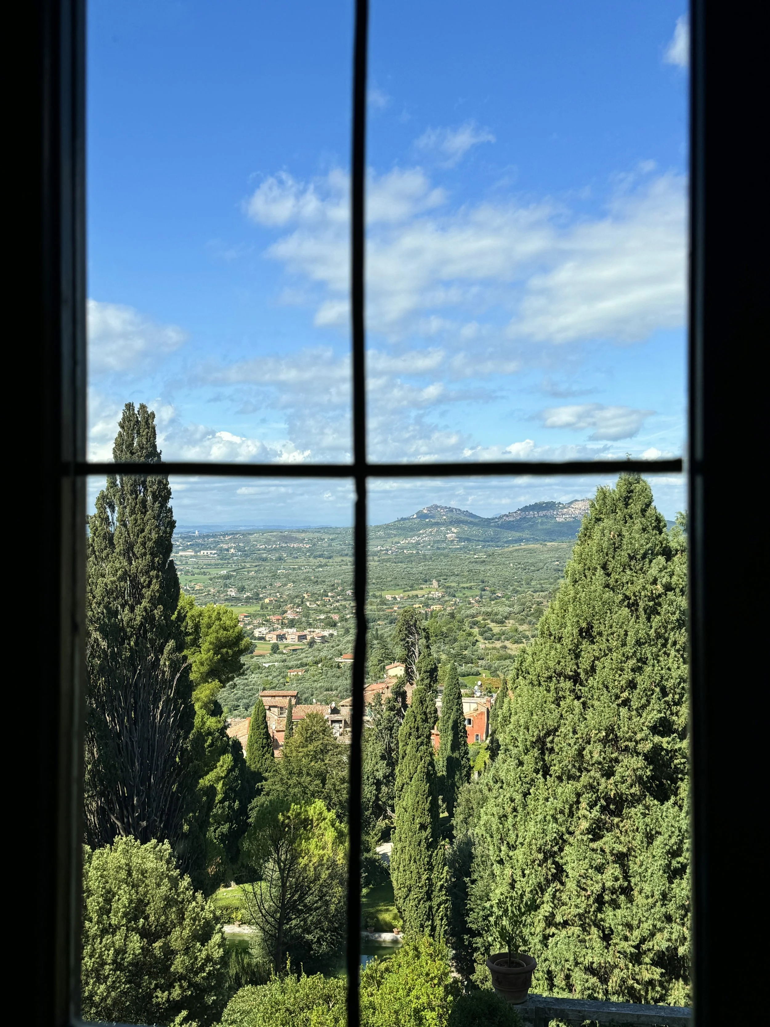 View of a landscape through a window with a black grid. The scene includes lush green trees, a distant town, hills or mountains, and a partly cloudy blue sky.
