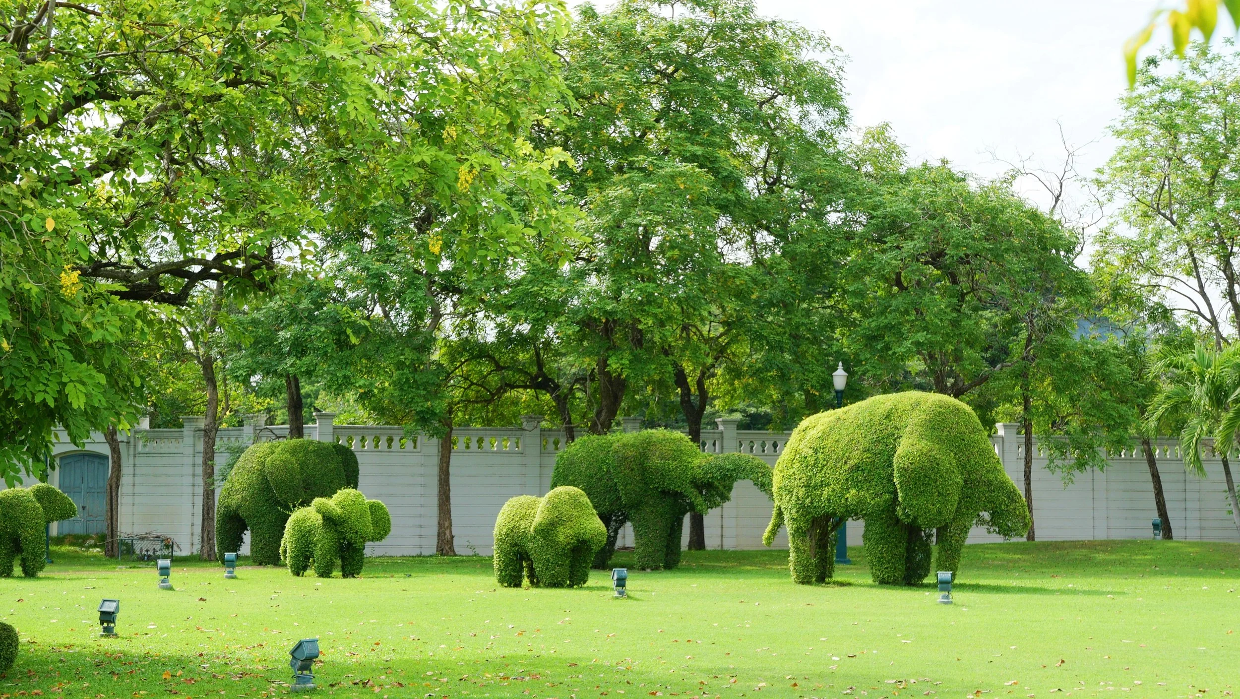 A well-manicured garden with trimmed bushes, grass, and large green trees behind a white fence, with some outdoor lights and a lamp post visible.