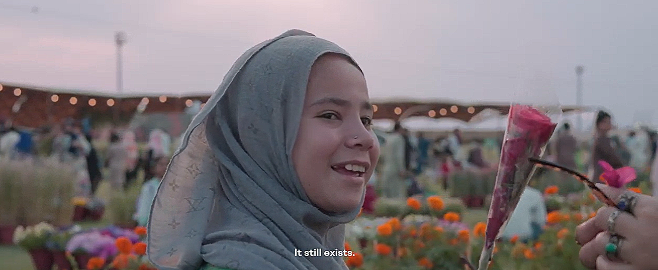 wb-films1.png