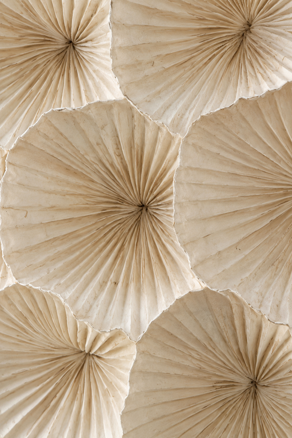Close-up of beige, pleated fan-shaped paper decorations arranged in overlapping layers.