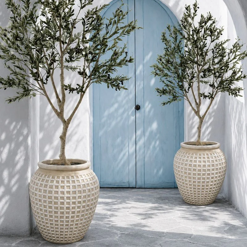 OLIVE2TREEPOTS.jpg