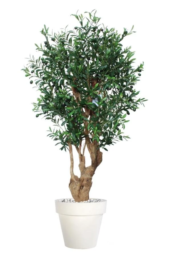 Poluveštačka maslina Malabar 150cm