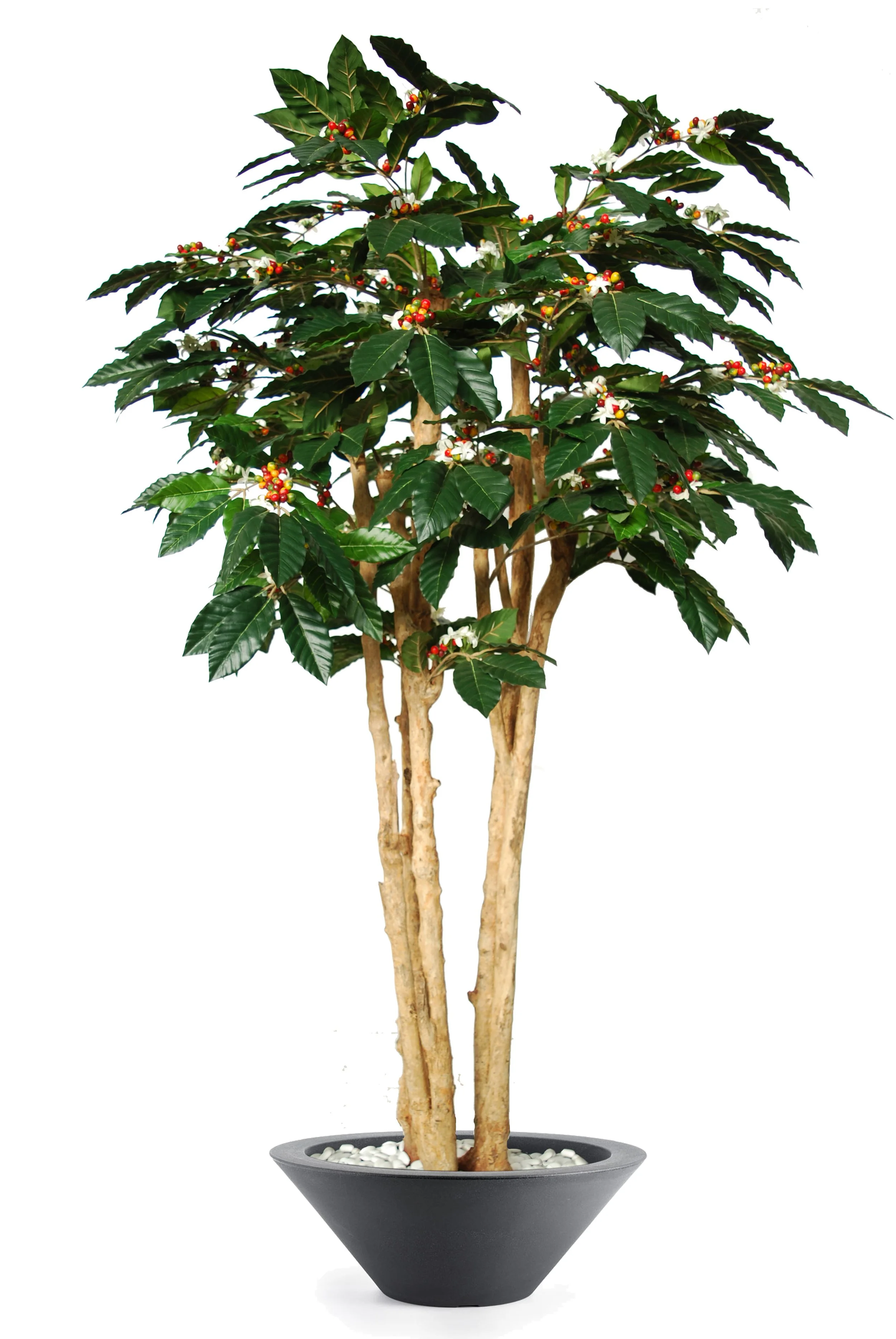 Poluveštačko drvo kafe Florida 180cm
