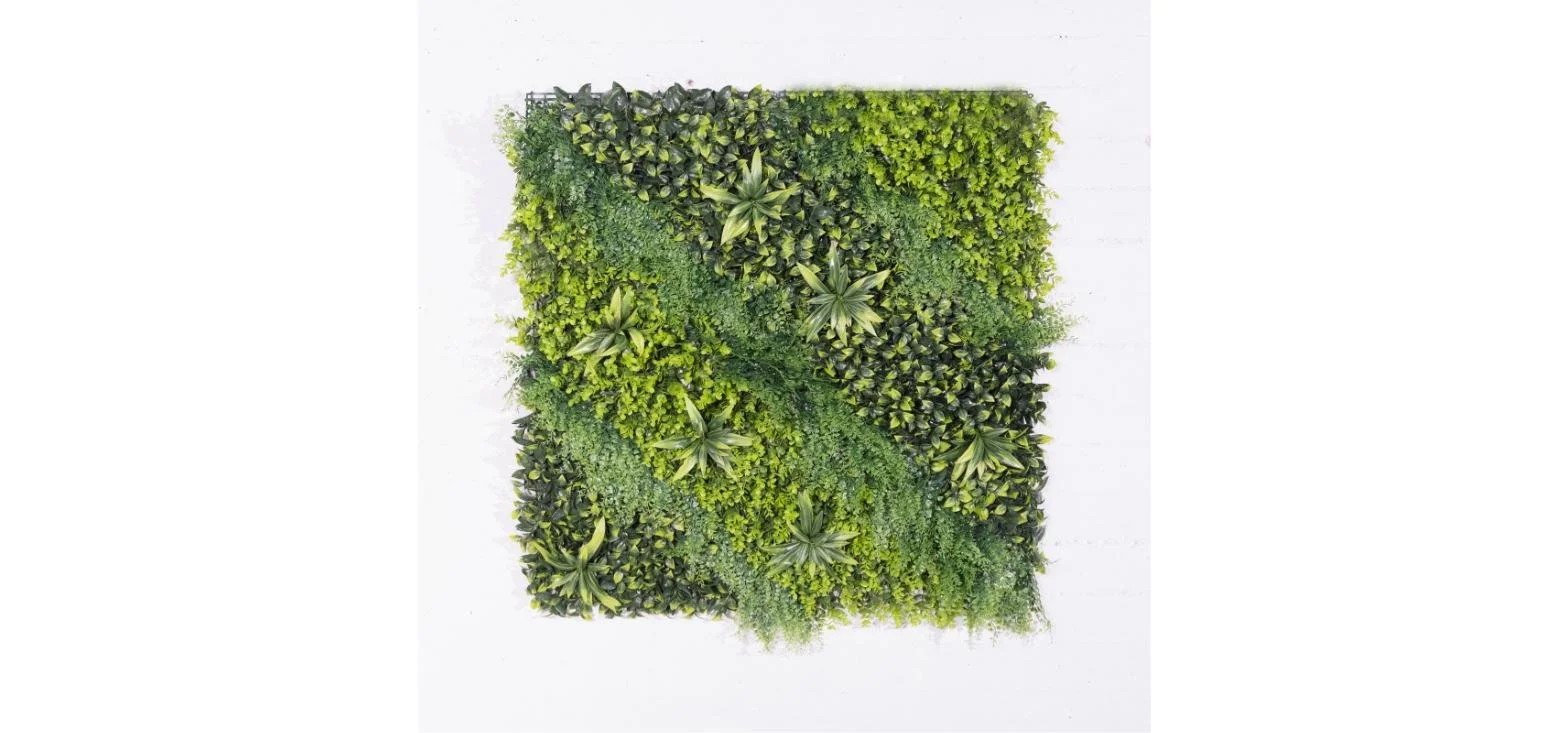 Zeleni zid - šimšir sa paprati "Fernovox" 100x100cm