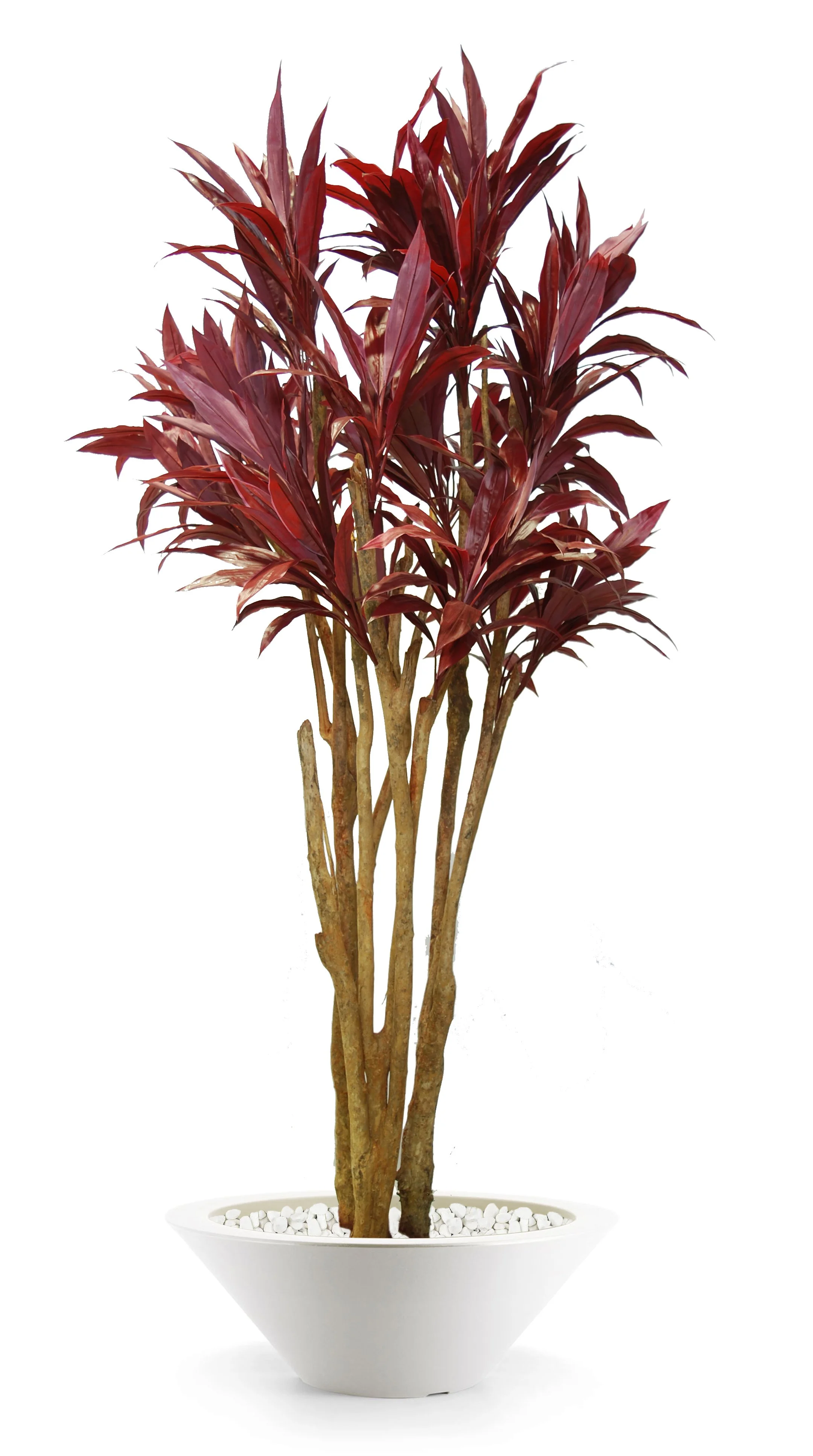 Poluveštačka kordilina Florida crvena 240cm