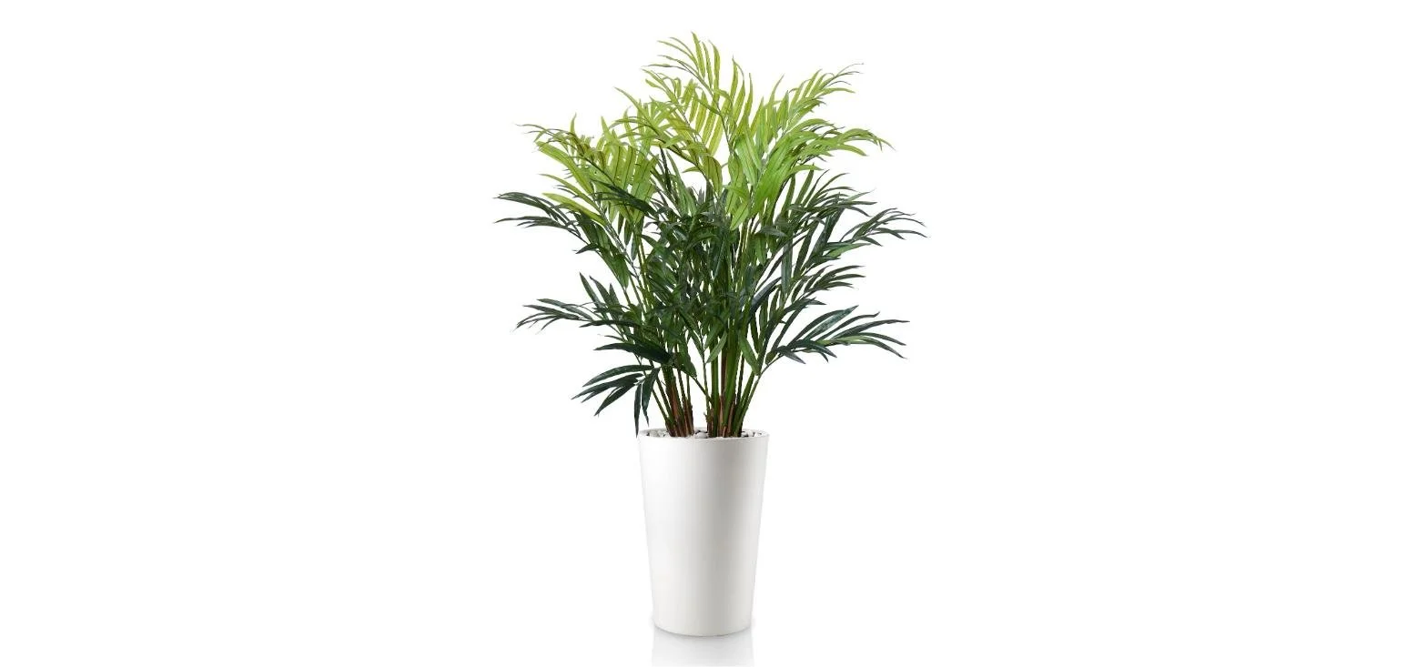 Poluveštačka areka palma Lux 190cm
