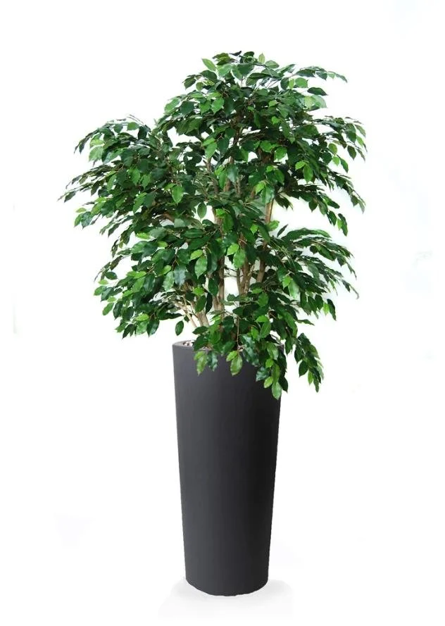 Poluveštački fikus Exotica Lux 150cm