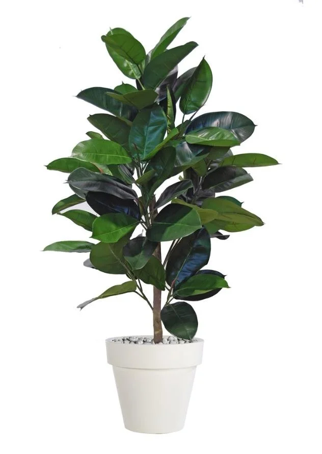 Poluveštački fikus Elastica 120cm