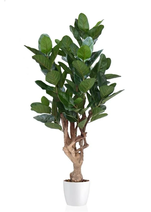 Poluveštački fikus Audrey Crown Mini 150cm