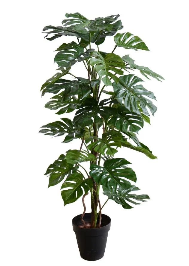 Poluveštački filodendron 170cm