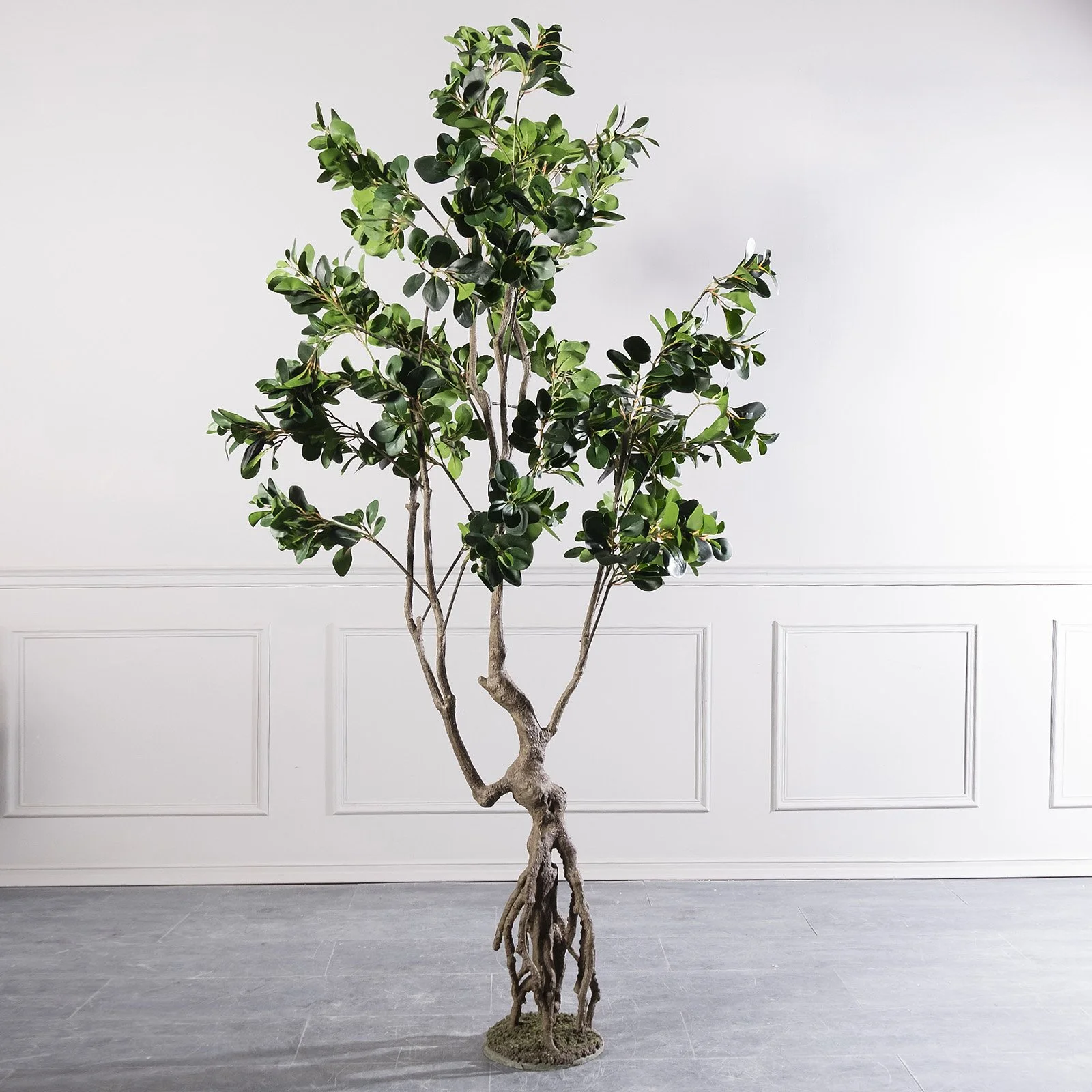 Veštački Ficus Griseng 250cm