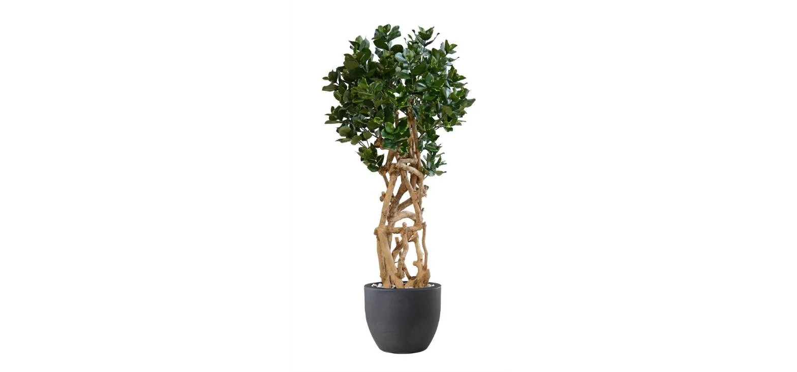 Poluveštačka kluzija Java 160cm