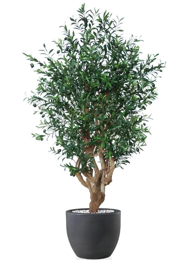 Poluveštačka maslina Malabar 150cm (protivpožarna)