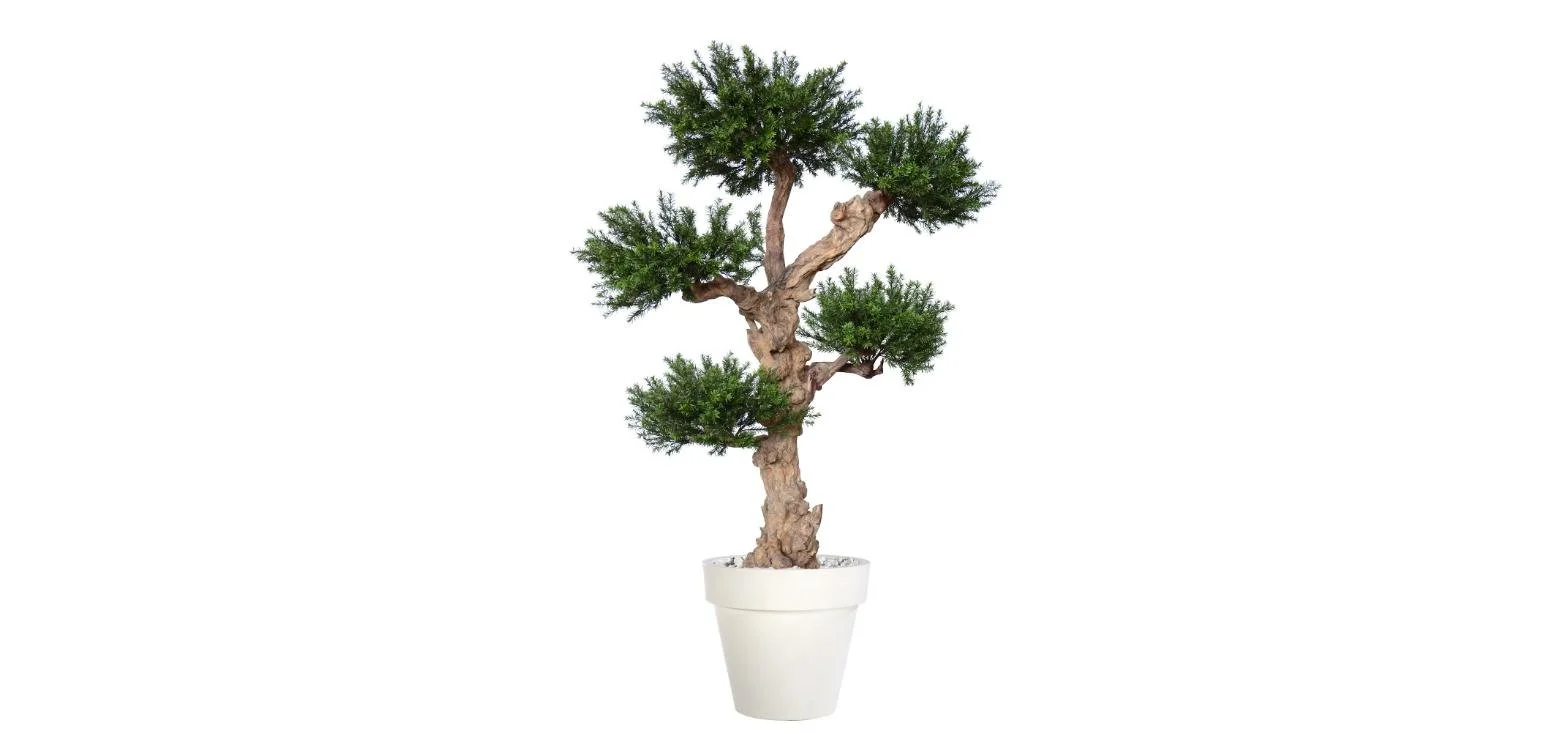 Poluveštačka tisa Taxus Pom Pom 190cm