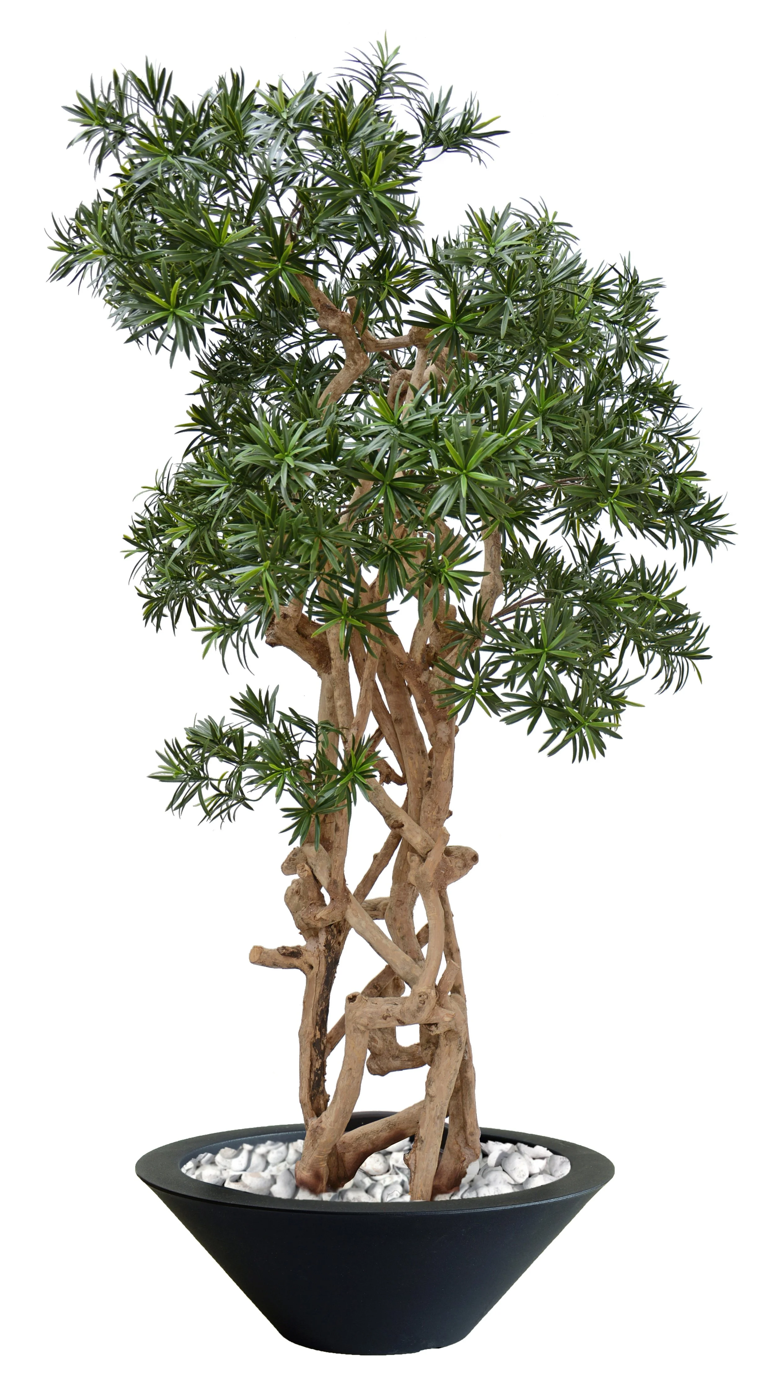 Poluveštački podokarpus Java 180cm