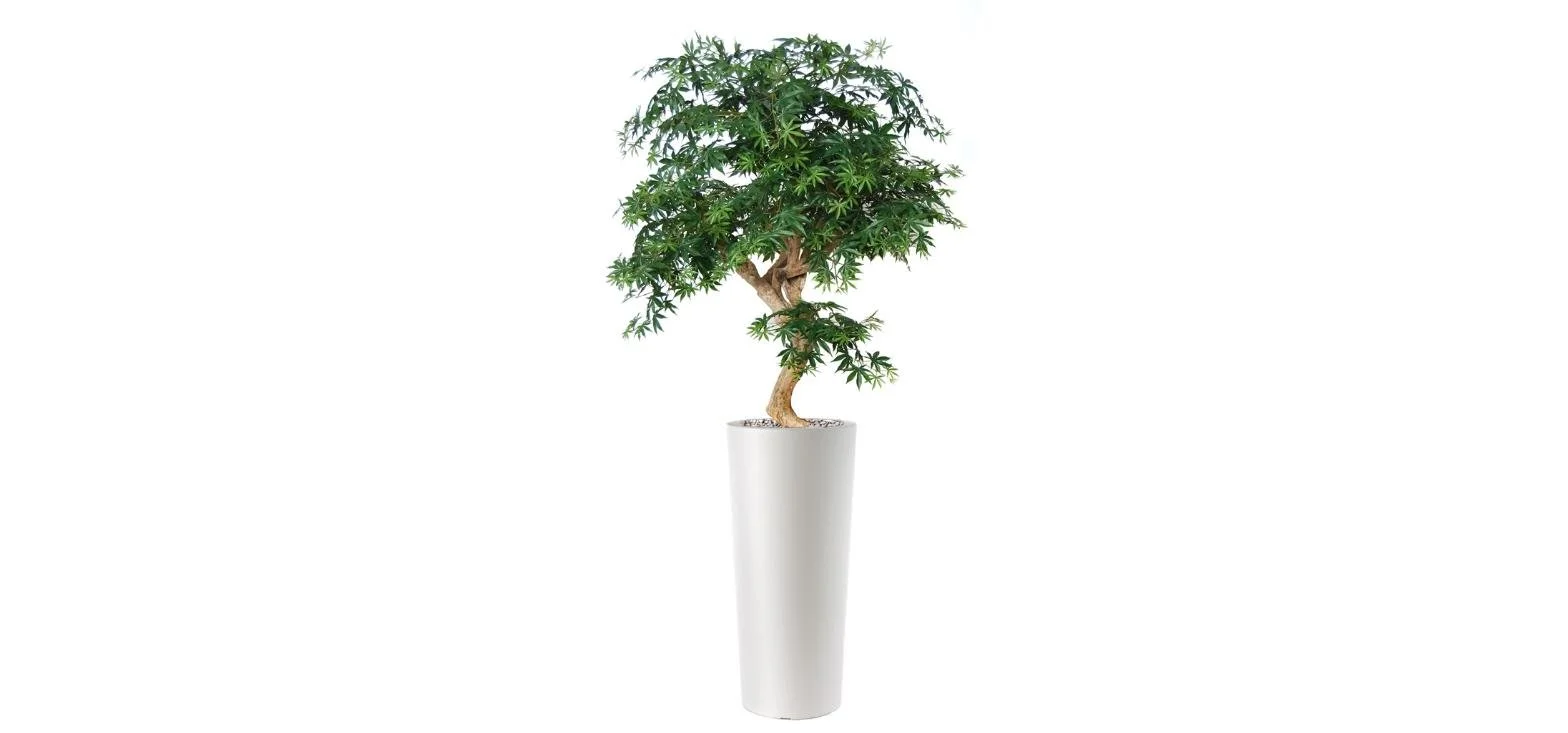 Poluveštački javor Crown 150cm