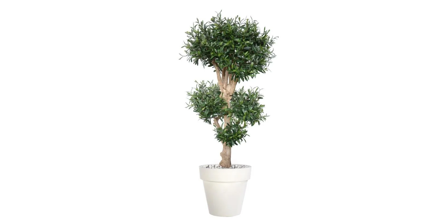 Poluveštačka maslina Double Step 160cm