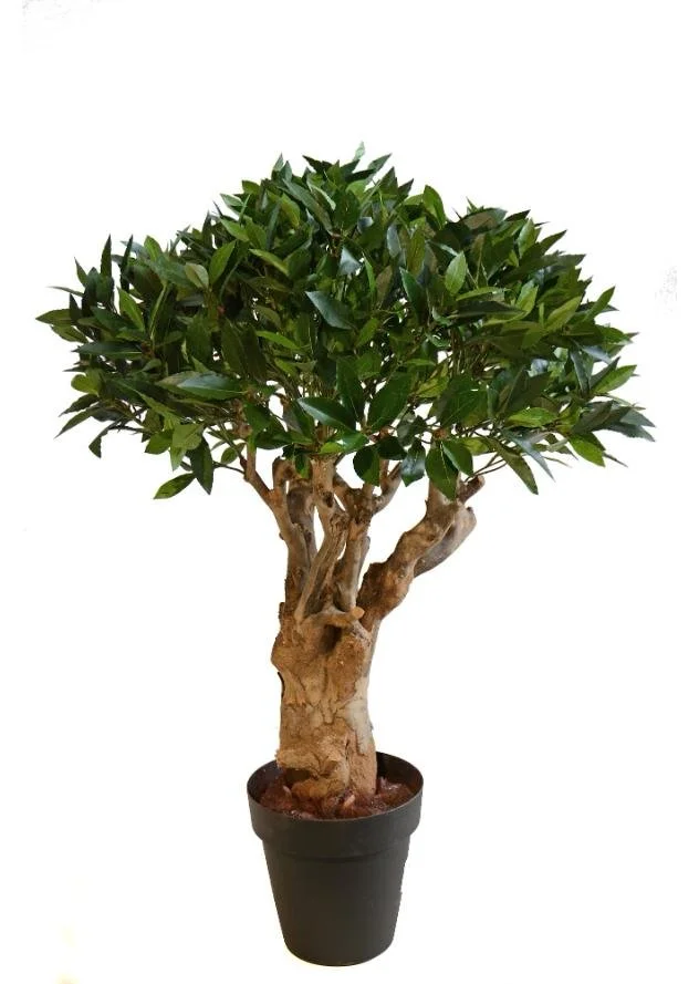 Poluveštački lovor Robustina 110cm