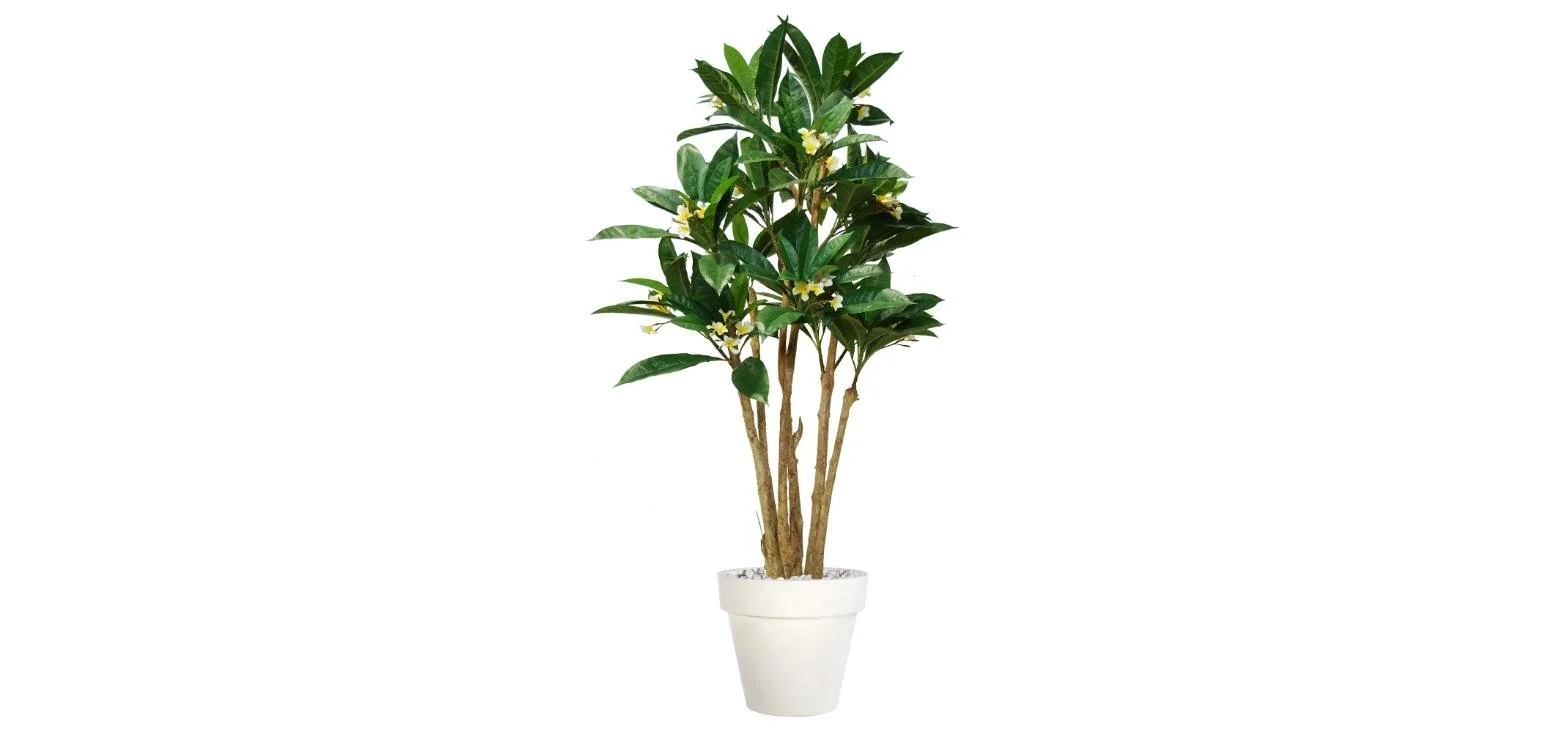 Poluveštačka plumerija Florida 240cm