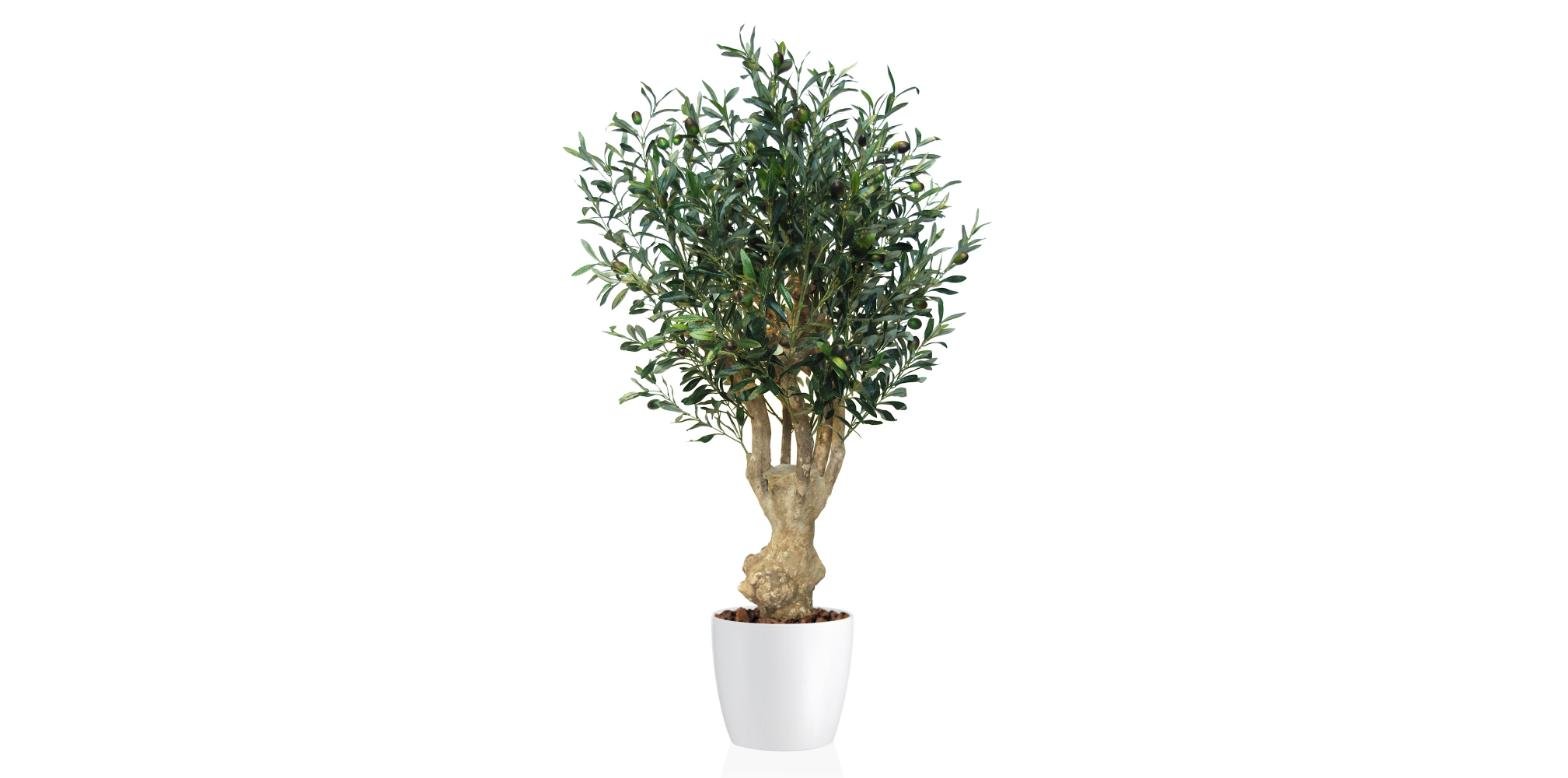 Poluveštačka maslina Crown Mini 110cm
