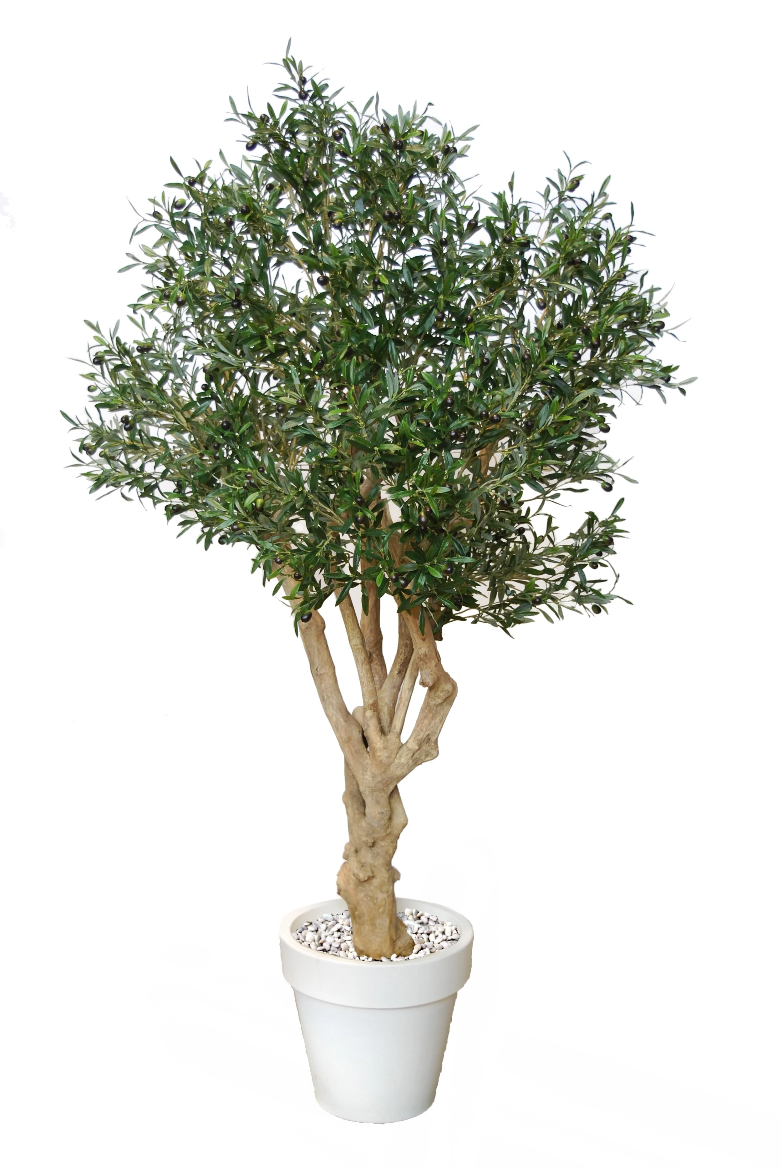 Poluveštačka maslina Crown 180cm