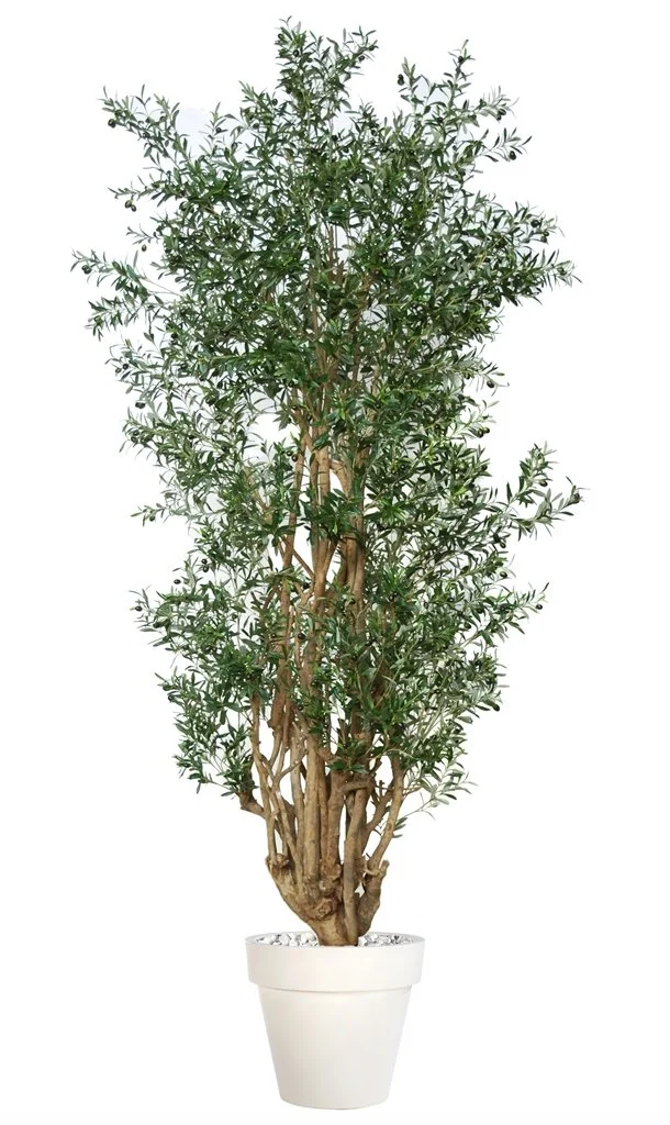 Poluveštačka maslina Malabar Lux 250cm