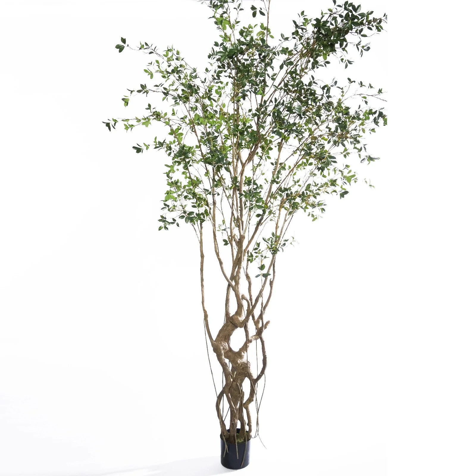 Veštački fikus Microcarpa