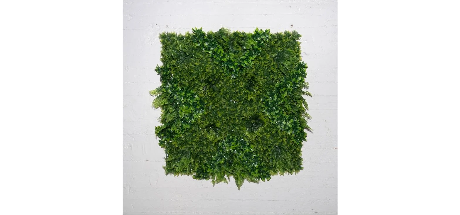 Zeleni zid - paprat sa fikusom "Floris" 100x100cm